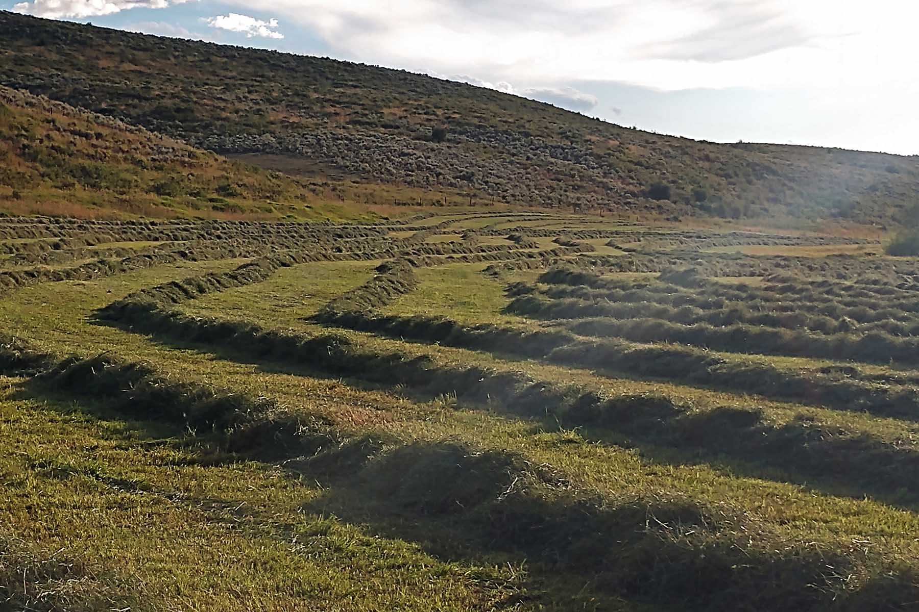 Stetson Ranch property picture 50 of 67