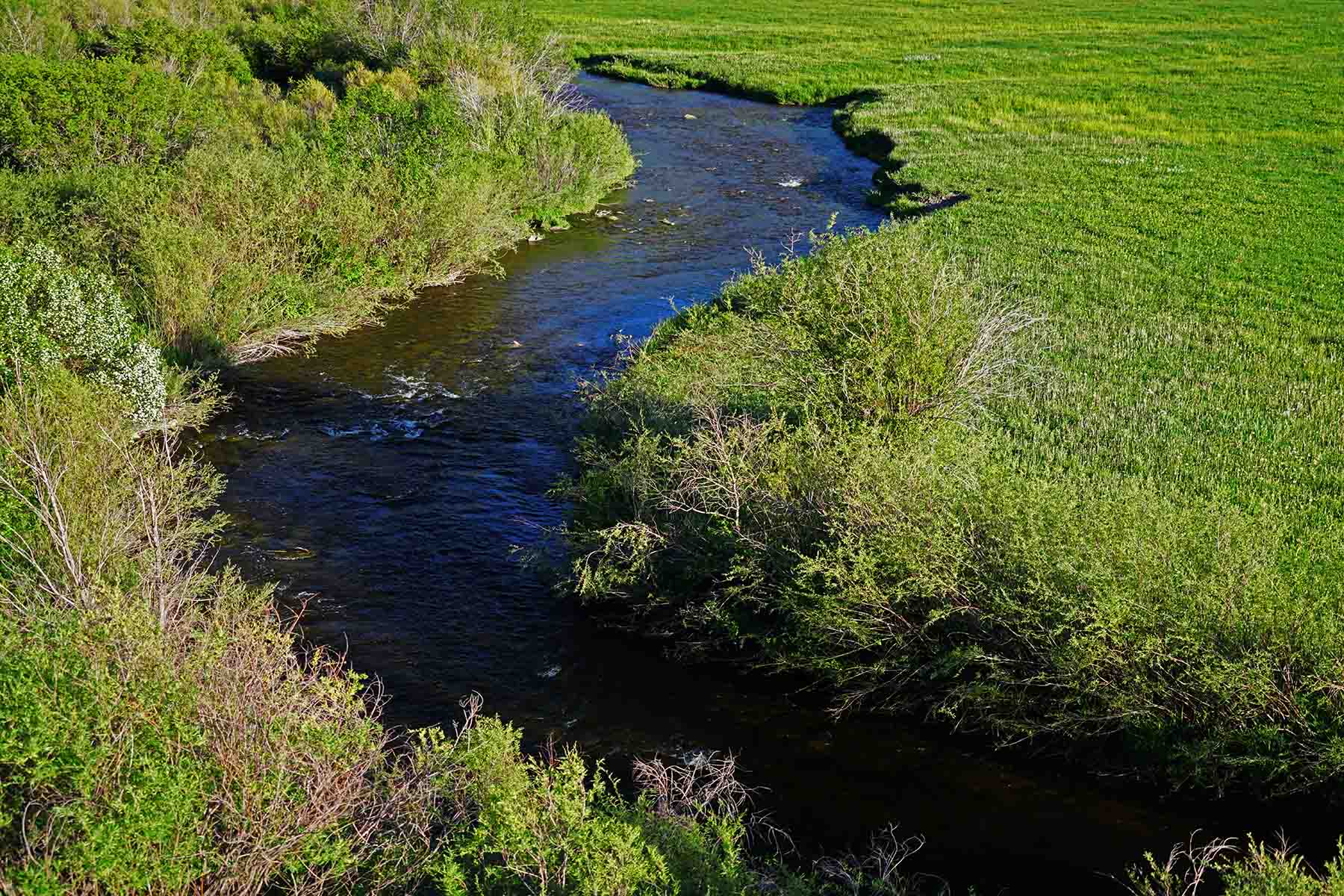 Stetson Ranch property picture 23 of 67