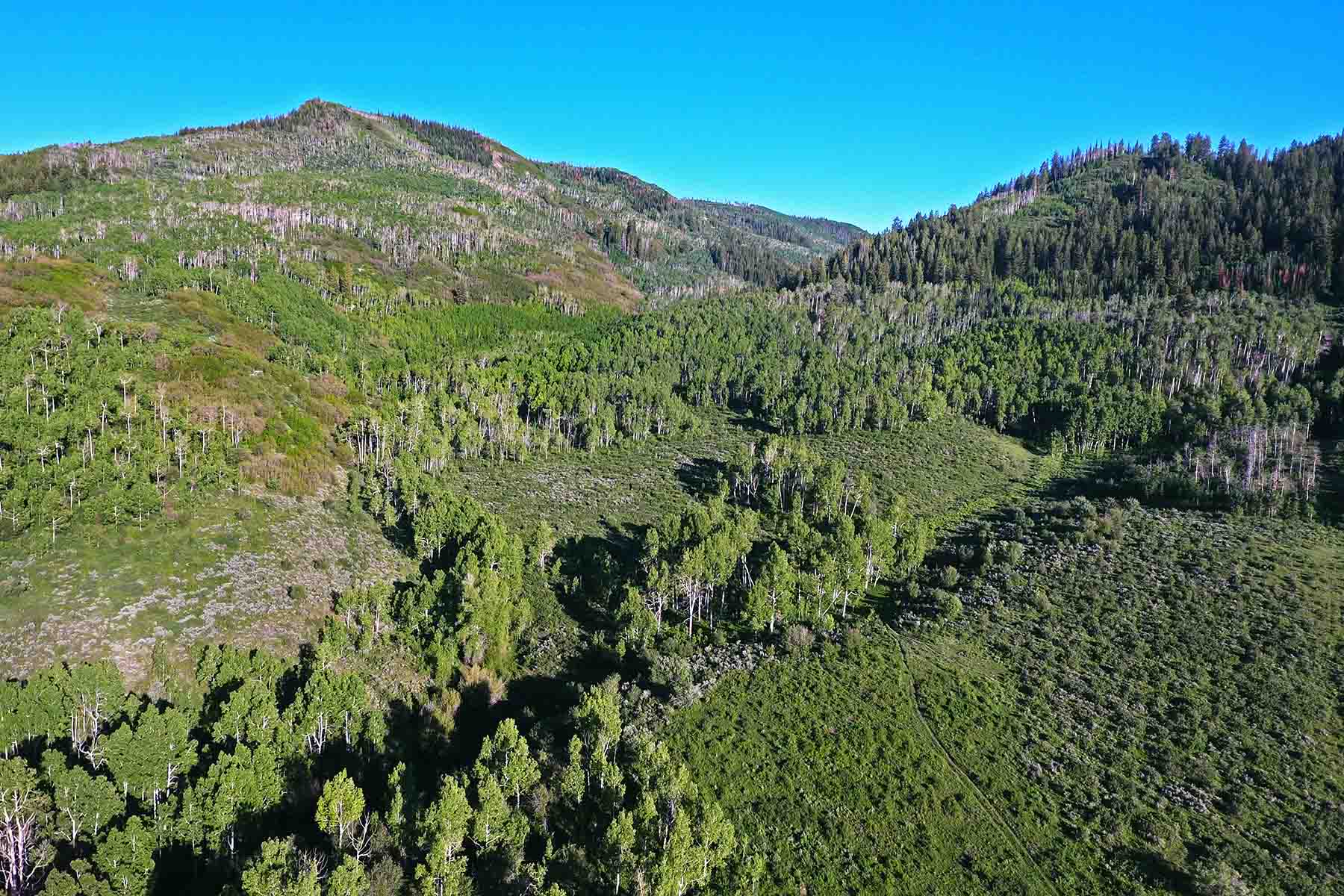 Stetson Ranch property picture 10 of 67