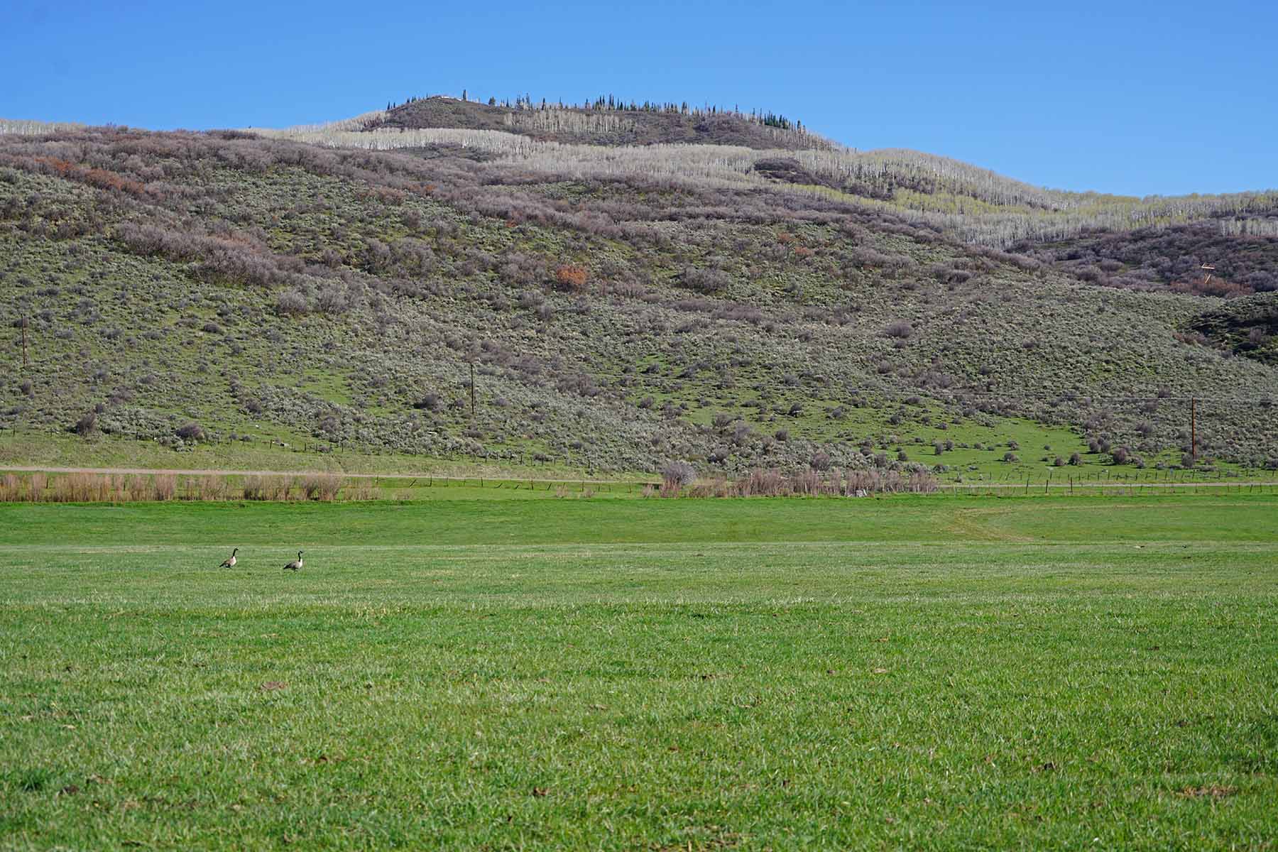 Stetson Ranch property picture 54 of 67