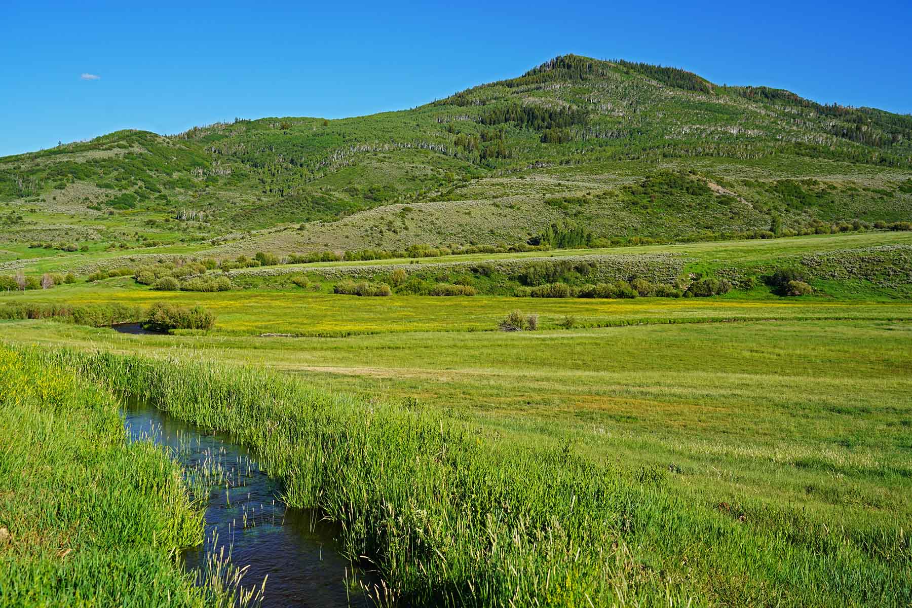 Stetson Ranch property picture 29 of 67