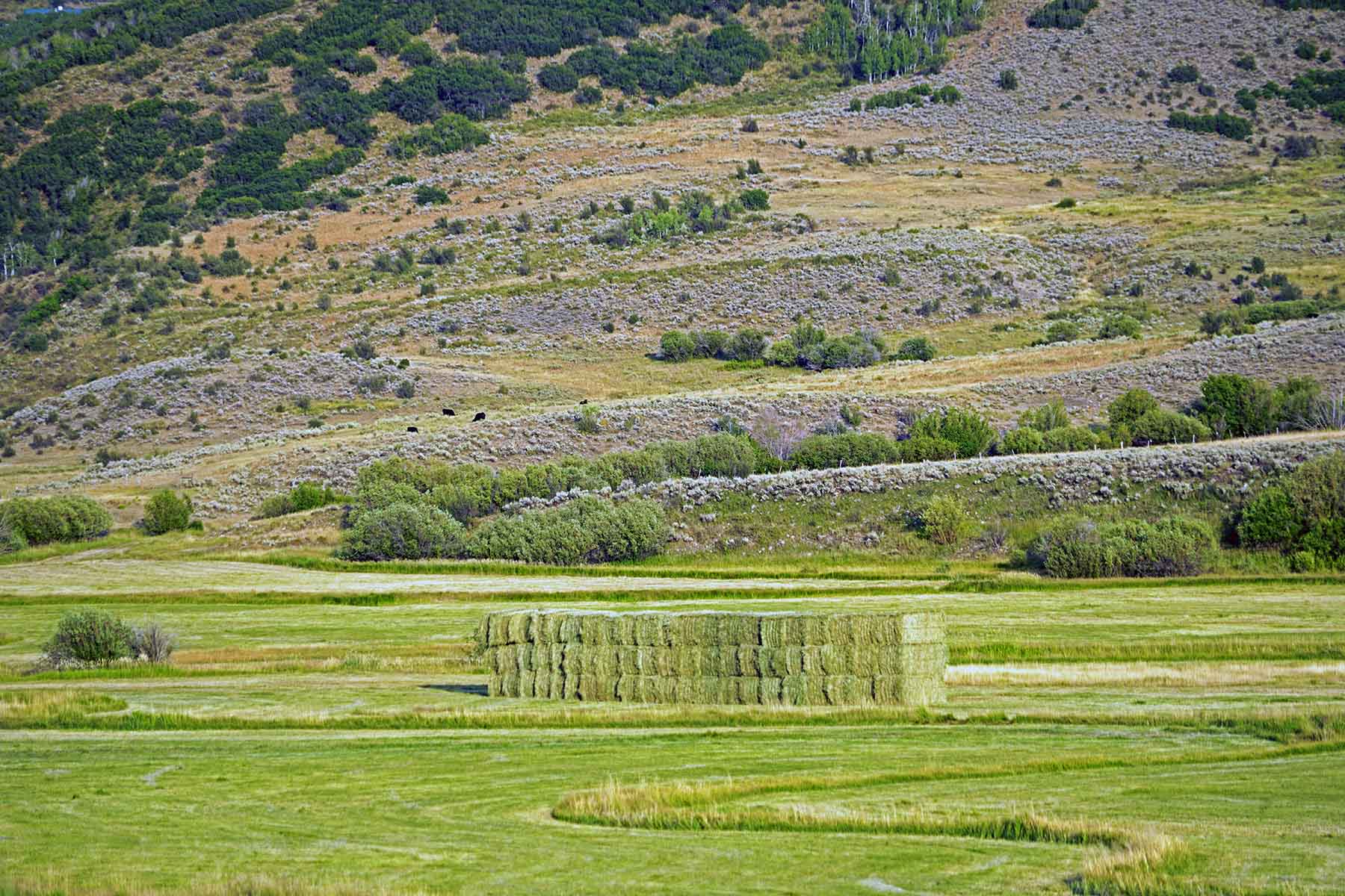 Stetson Ranch property picture 27 of 67
