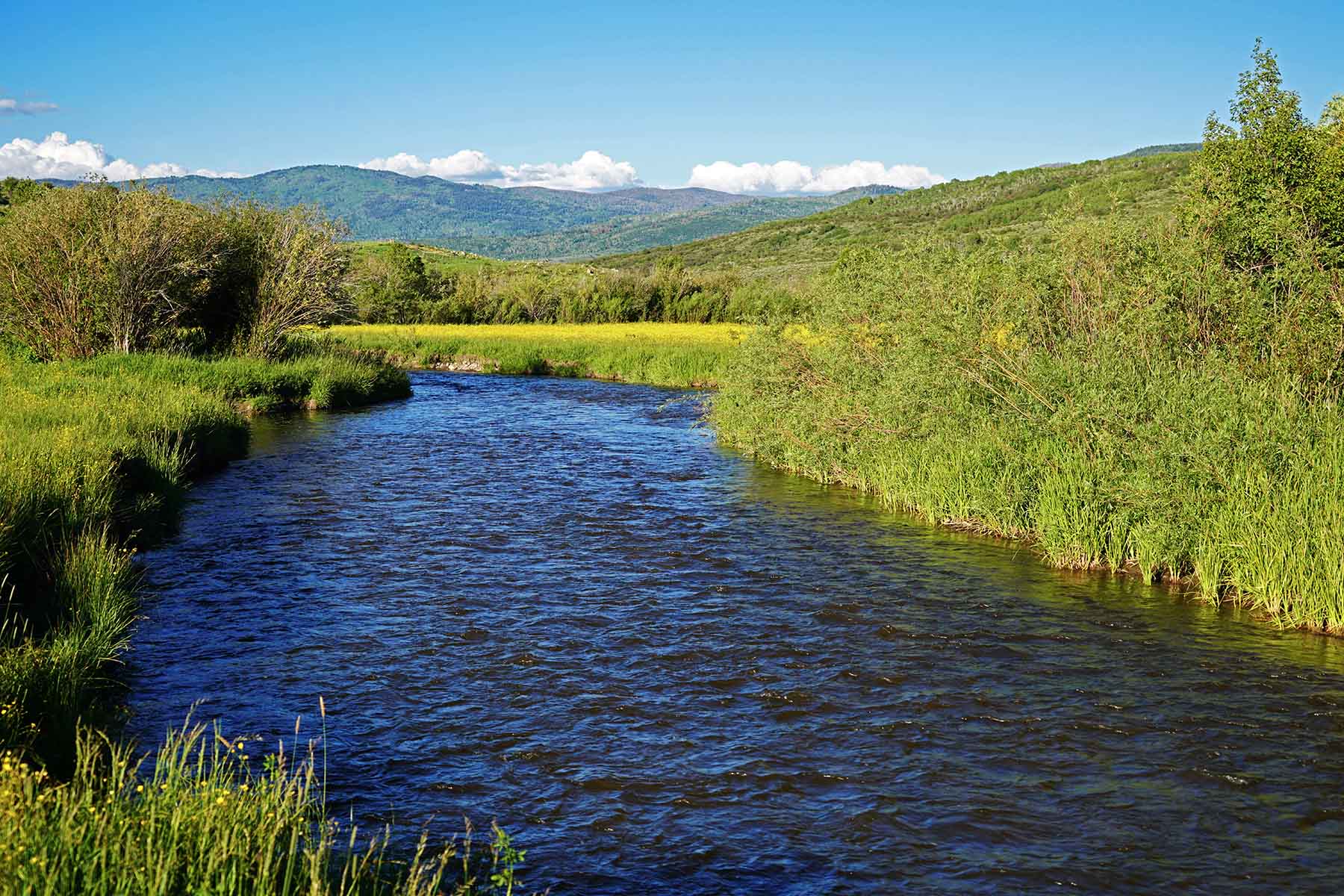 Stetson Ranch property picture 25 of 67
