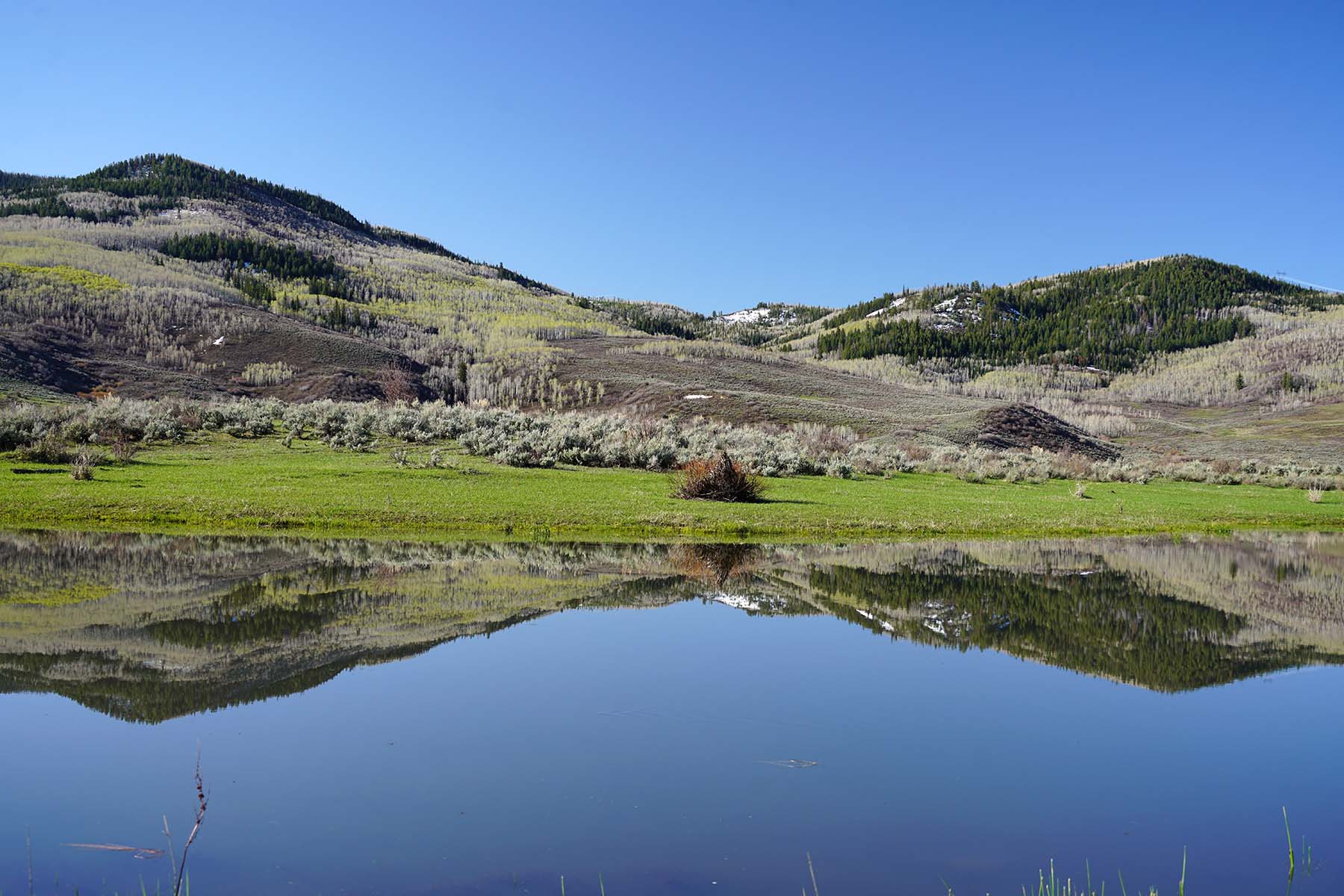 Stetson Ranch property picture 58 of 67