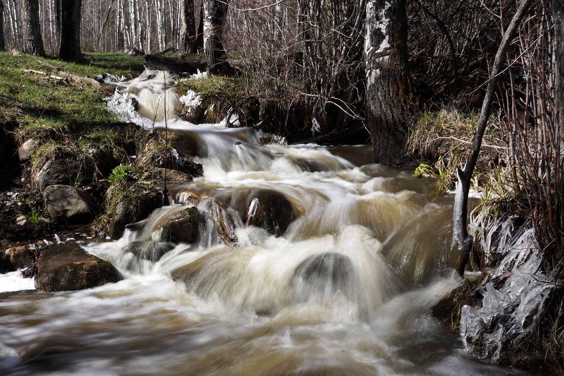 Stetson Ranch property picture 42 of 67