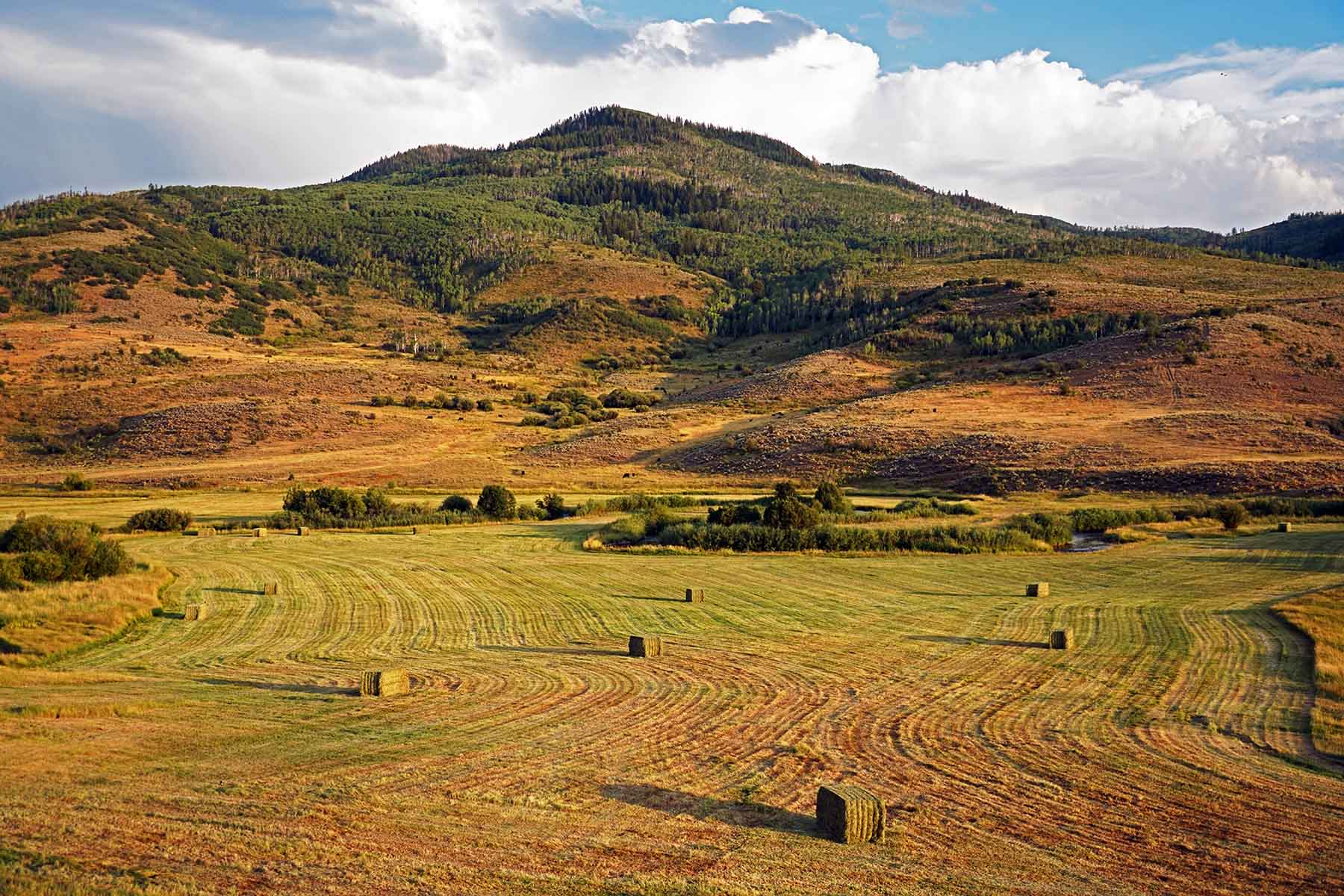 Stetson Ranch property picture 13 of 67