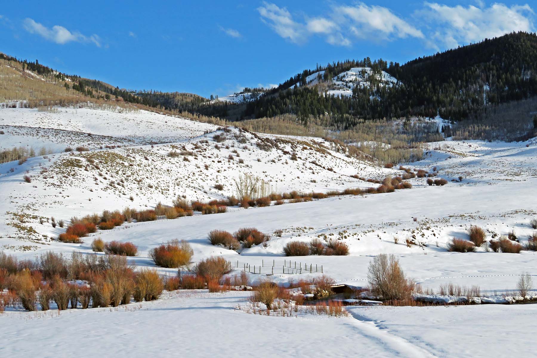 Stetson Ranch property picture 65 of 67