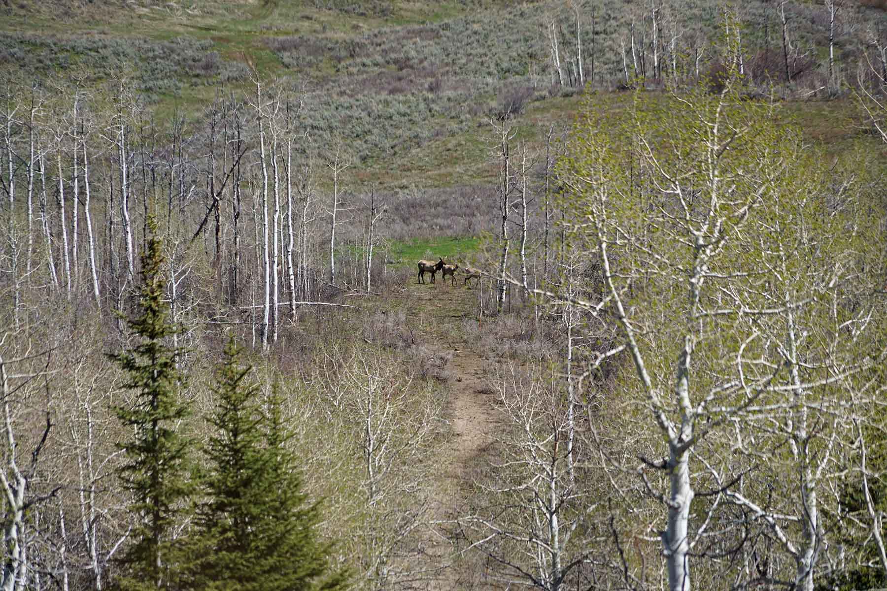 Stetson Ranch property picture 57 of 67