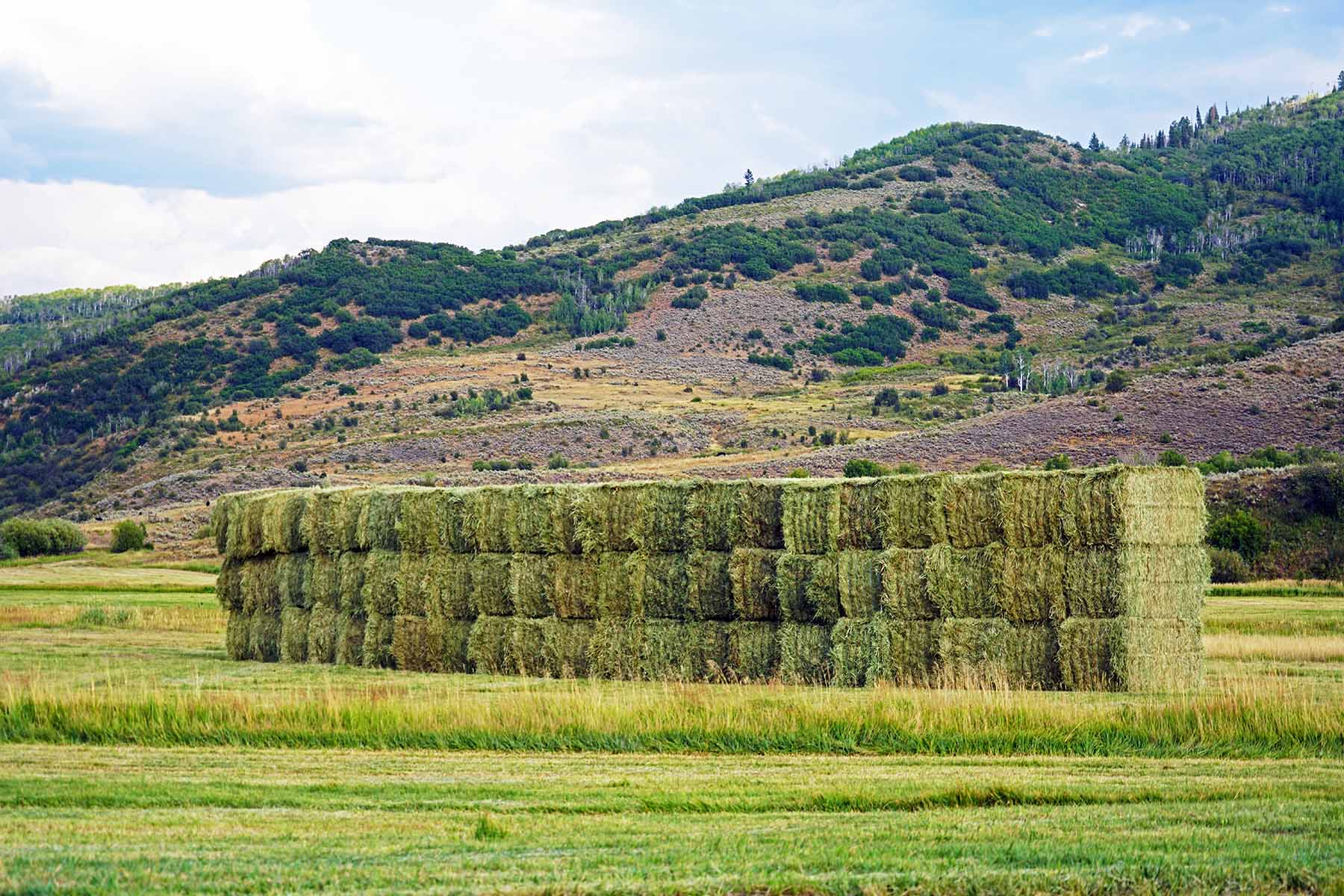 Stetson Ranch property picture 20 of 67