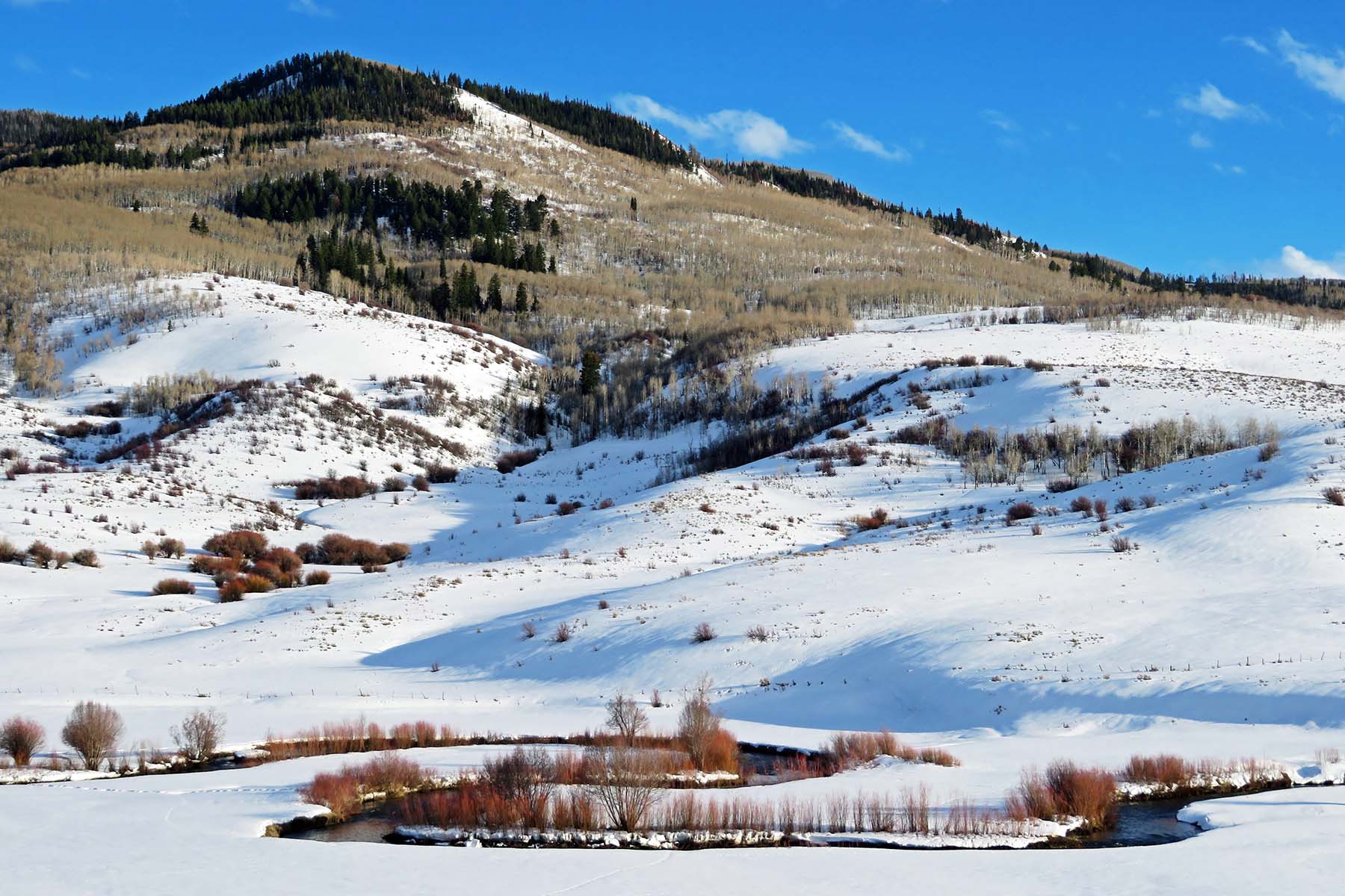 Stetson Ranch property picture 64 of 67