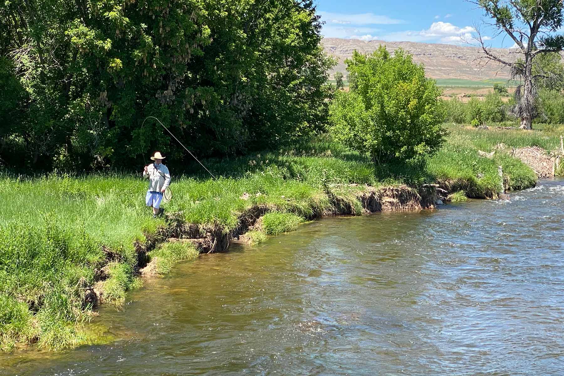 Diamond S Ranch property picture 34 of 45