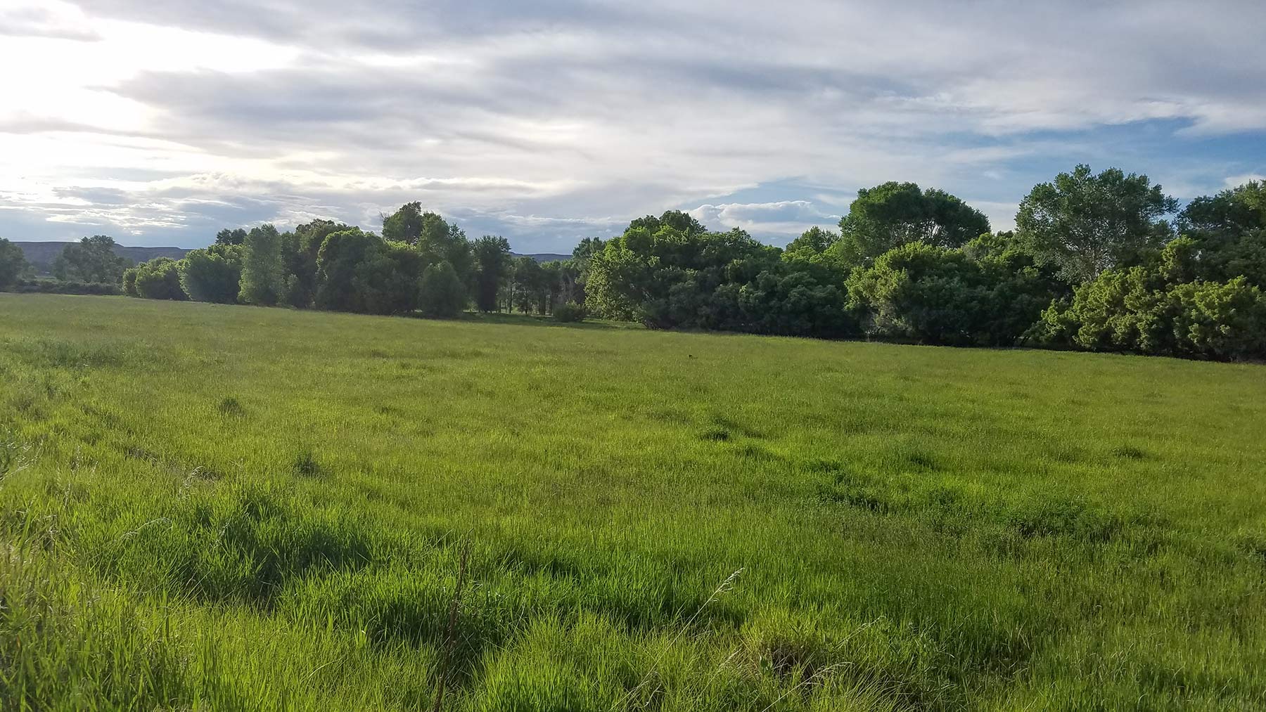 Diamond S Ranch property picture 8 of 45