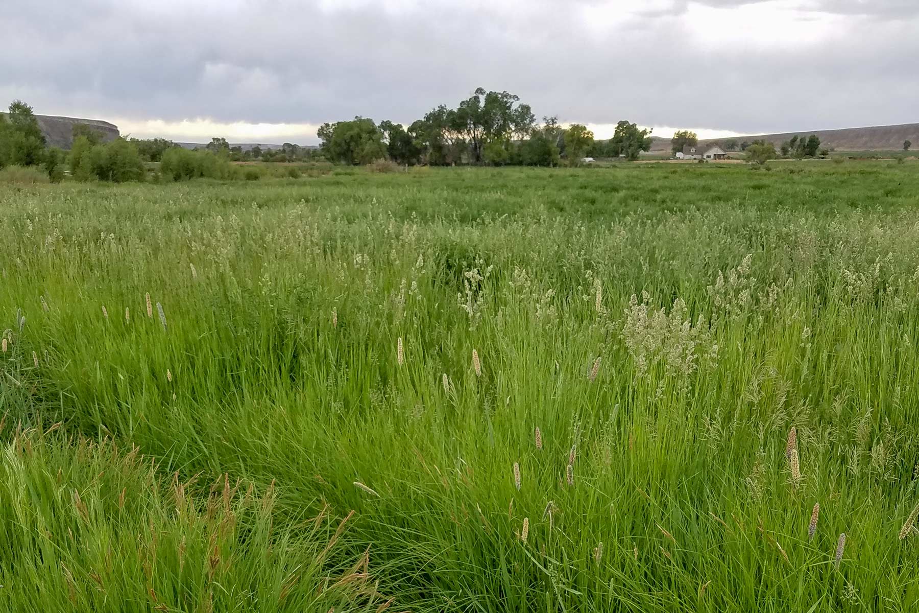 Diamond S Ranch property picture 24 of 45