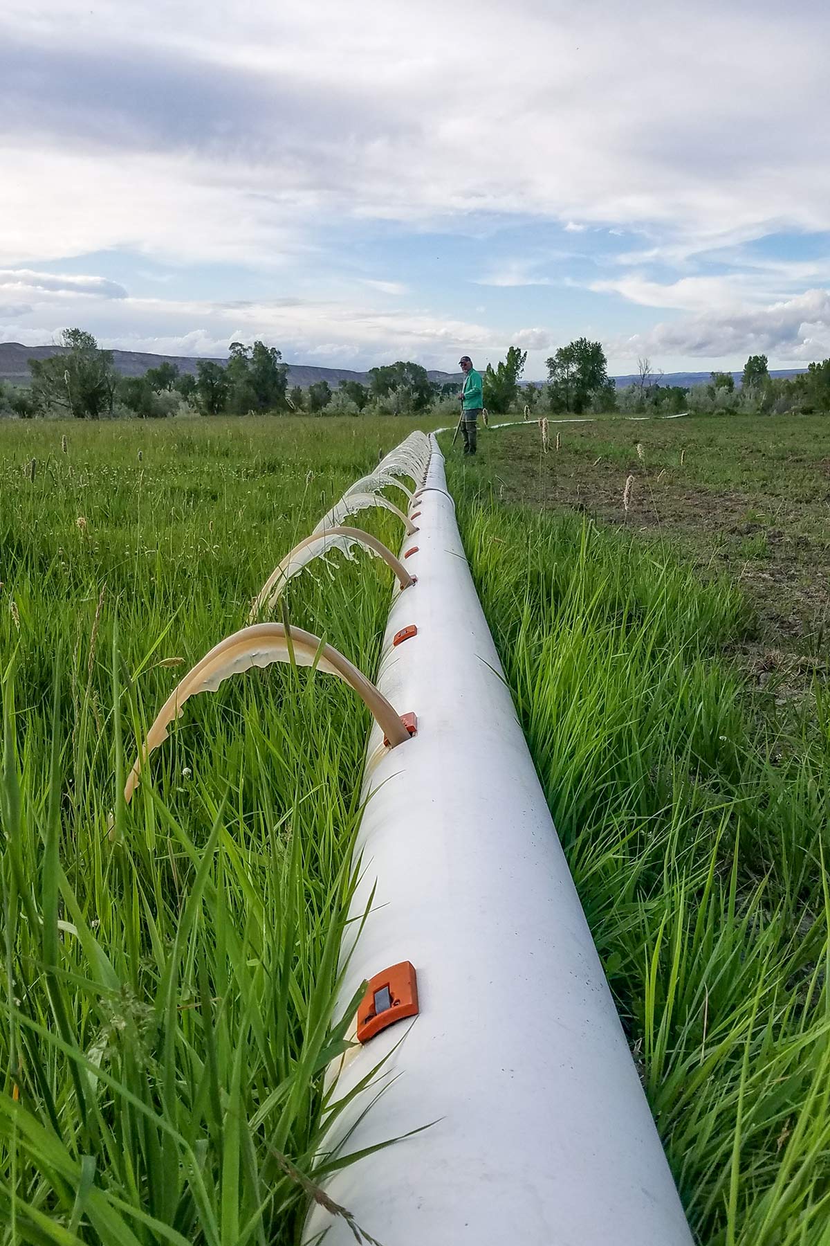 Diamond S Ranch property picture 10 of 45