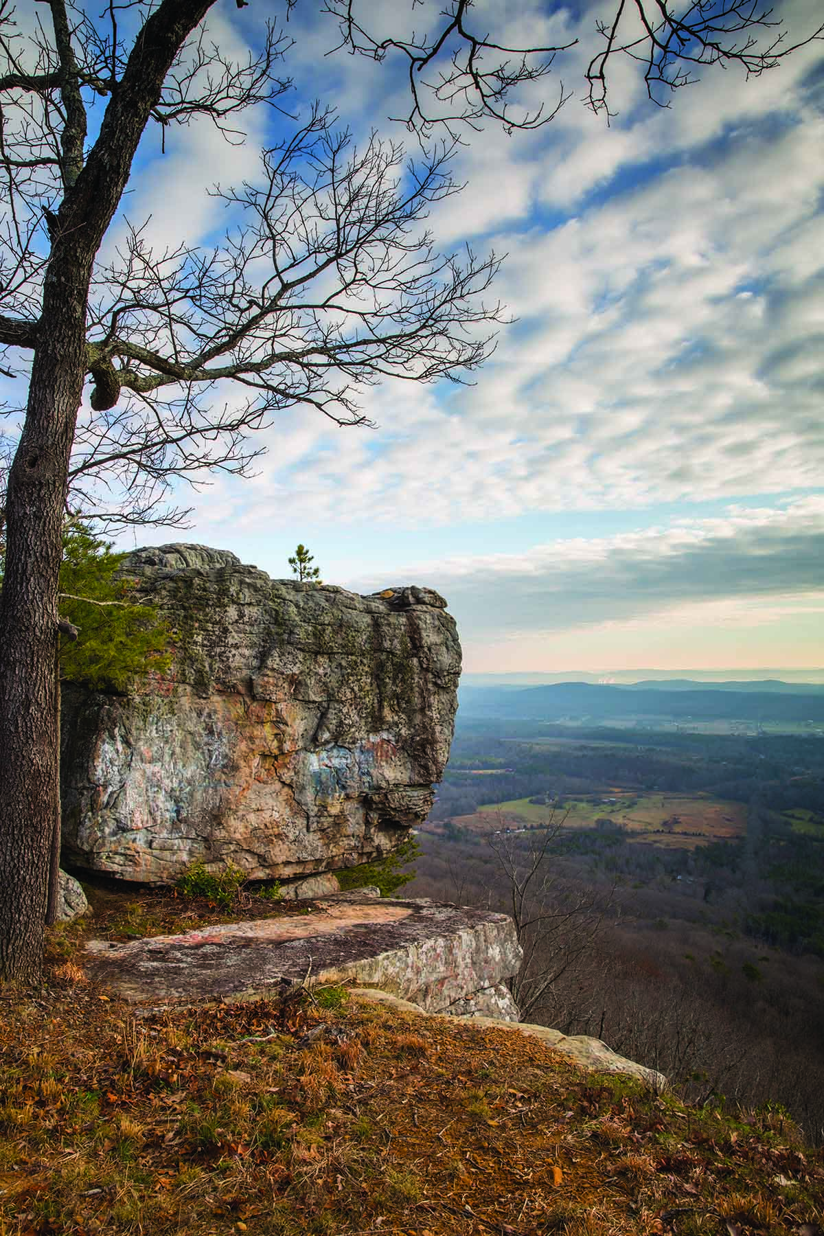 Cloudland Brow property picture 21 of 26