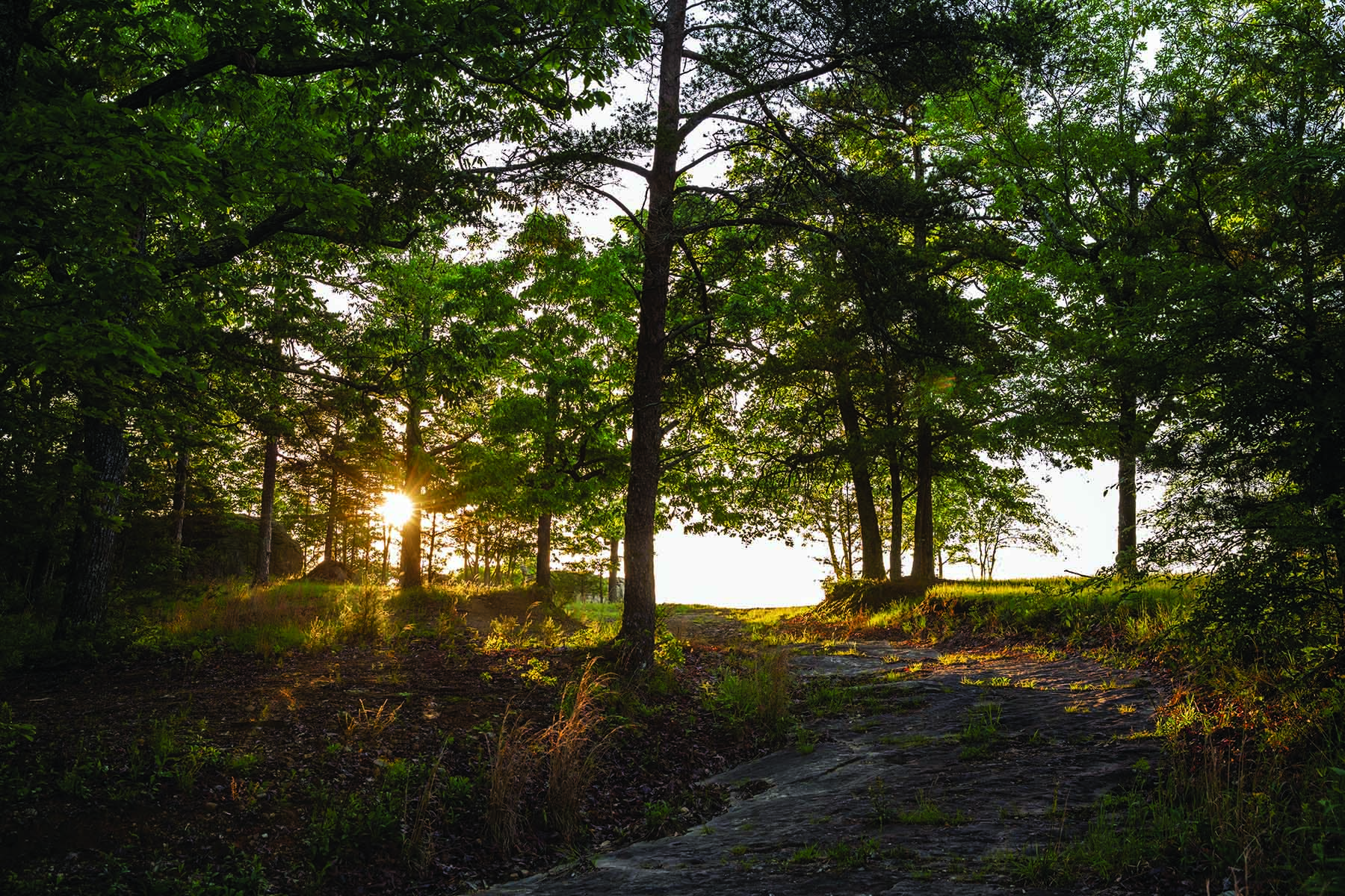 Cloudland Brow property picture 18 of 26