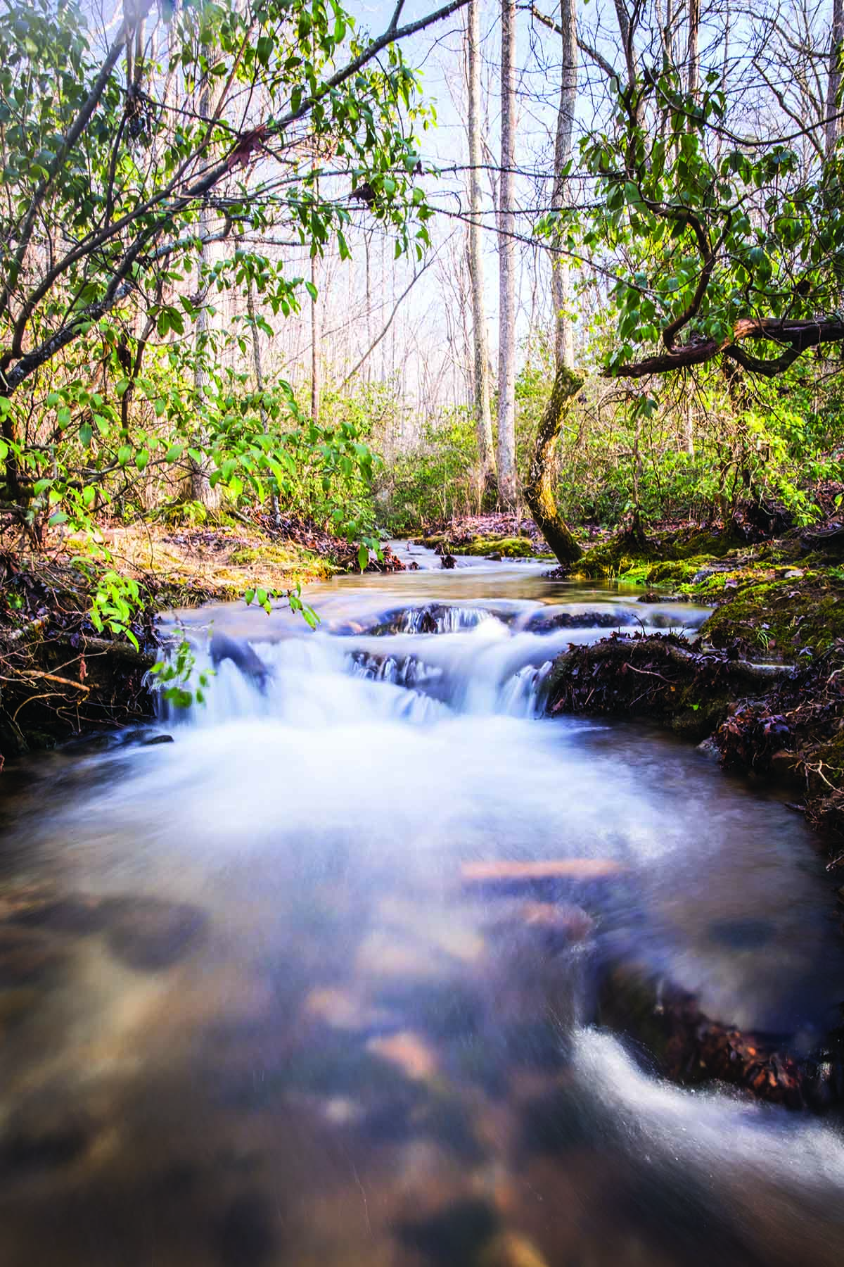 Cloudland Brow property picture 8 of 26