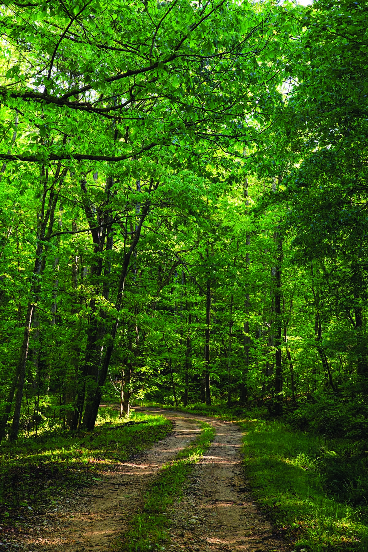 Cloudland Brow property picture 10 of 26