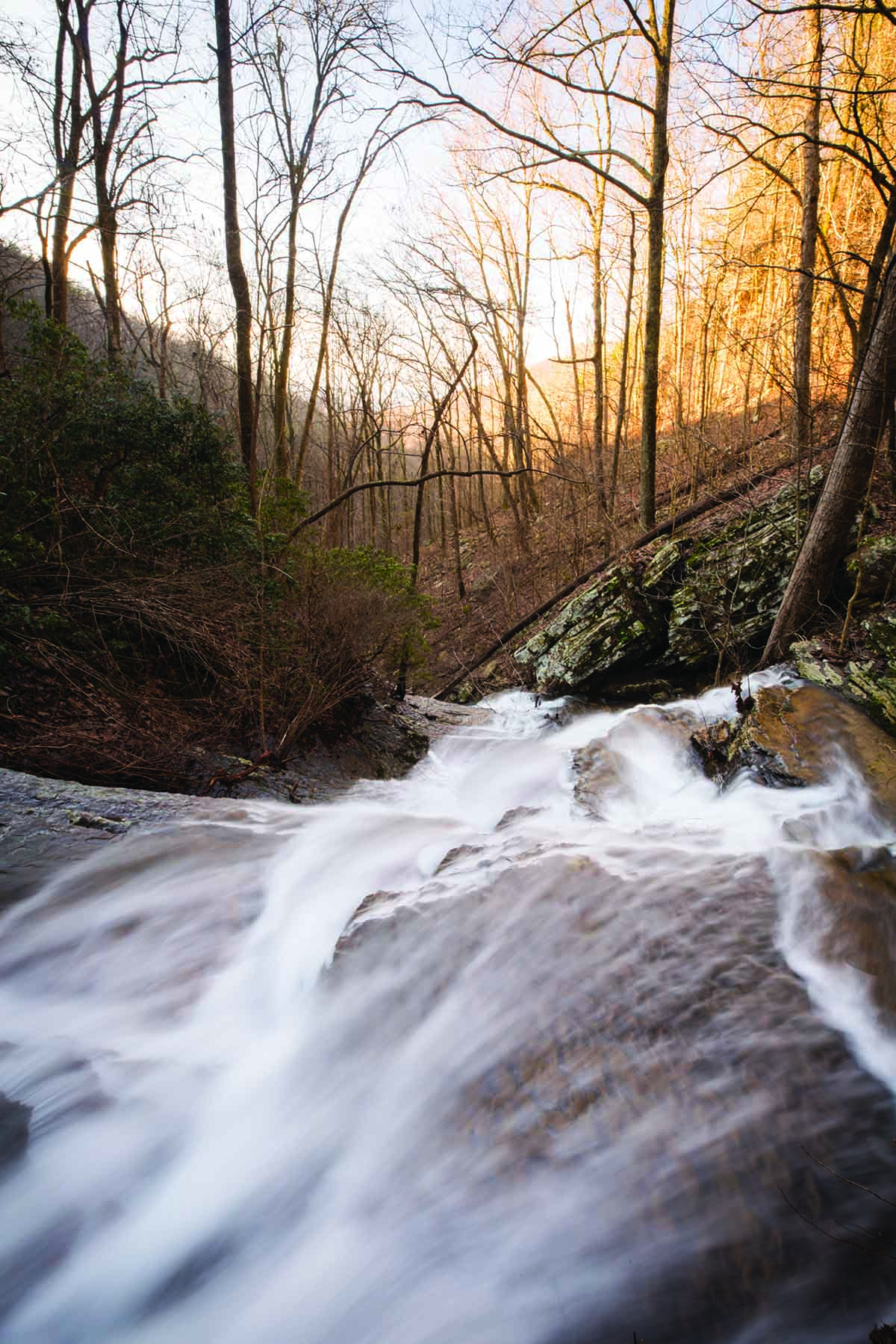 Cloudland Brow property picture 6 of 26