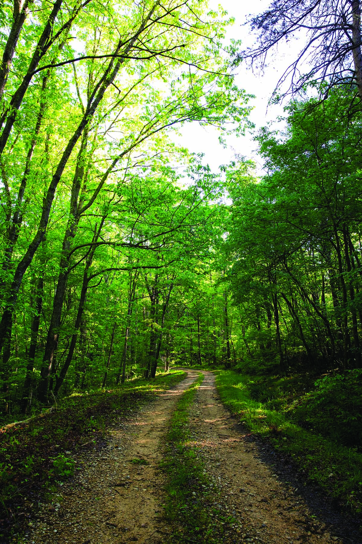 Cloudland Brow property picture 26 of 26