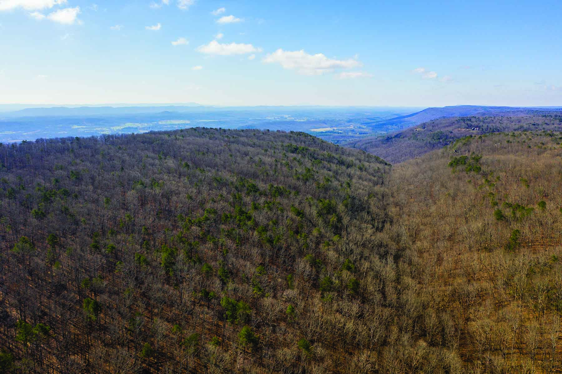 Cloudland Brow property picture 13 of 26