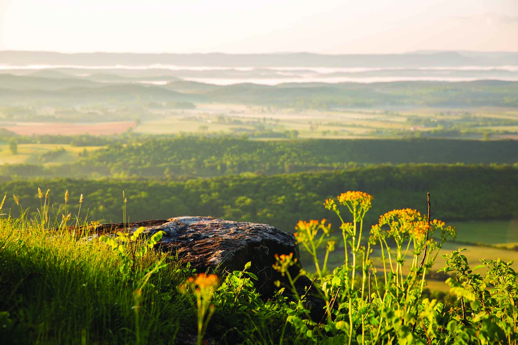 Cloudland Brow property picture 7 of 26