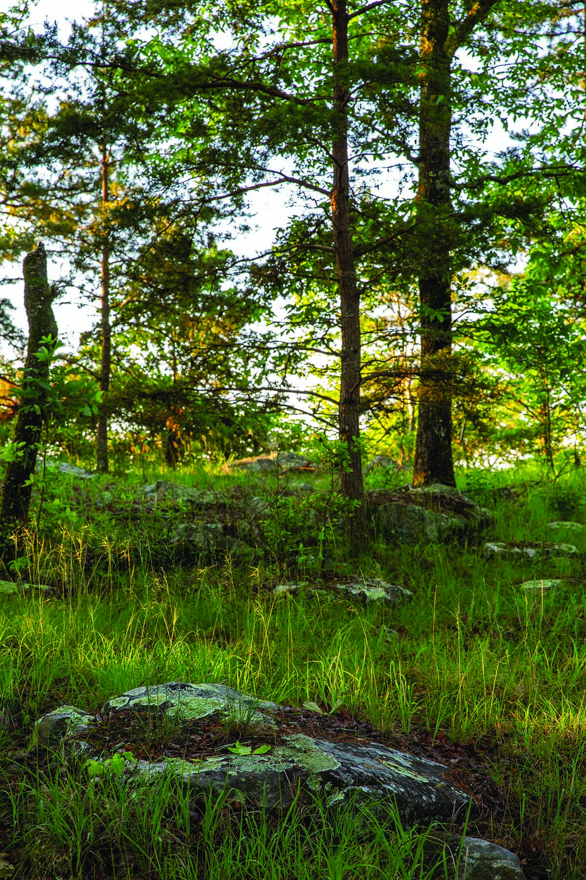 Cloudland Brow property picture 24 of 26