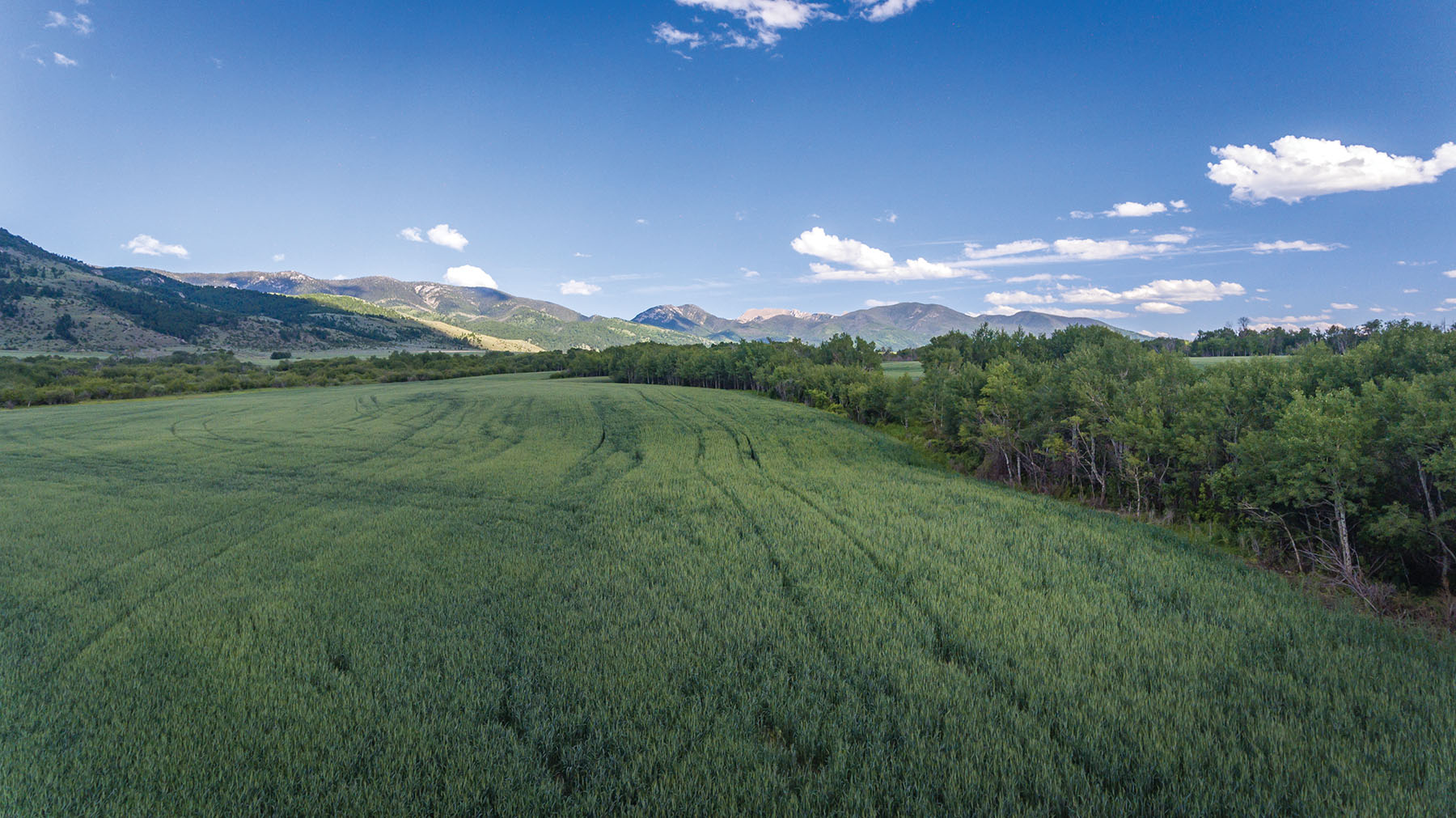 Little Rocky Canyon Ranch property picture 15 of 29