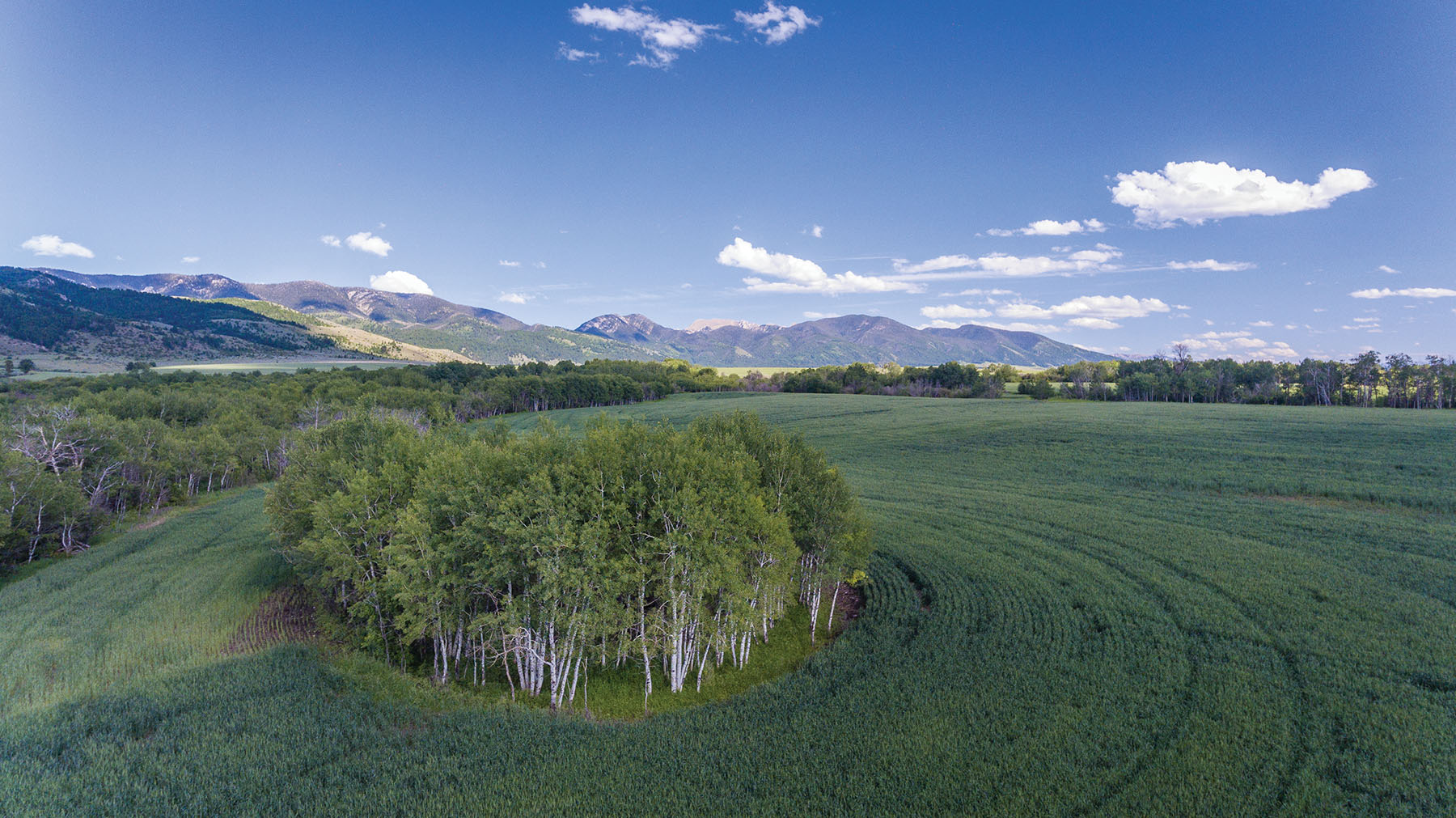 Little Rocky Canyon Ranch property picture 3 of 29