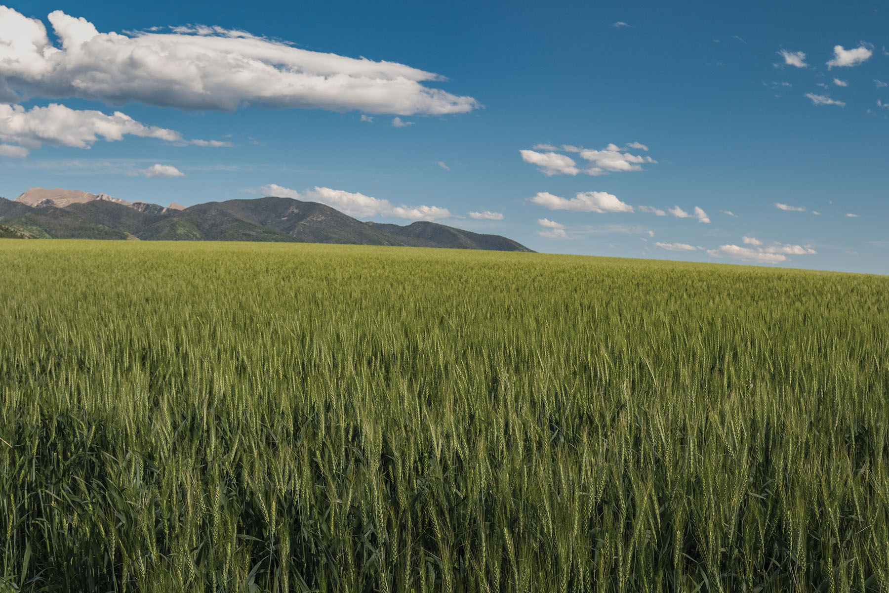 Little Rocky Canyon Ranch property picture 17 of 29