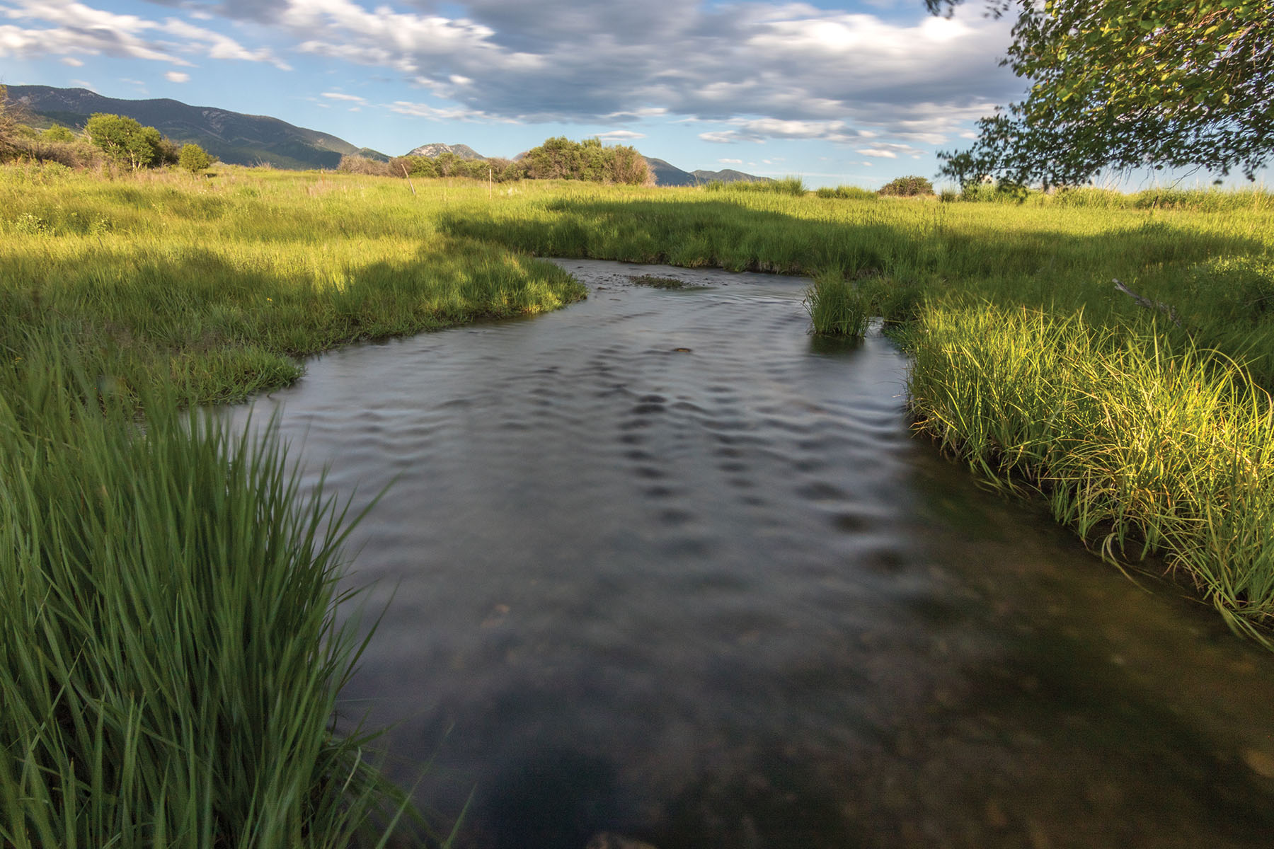 Little Rocky Canyon Ranch property picture 6 of 29