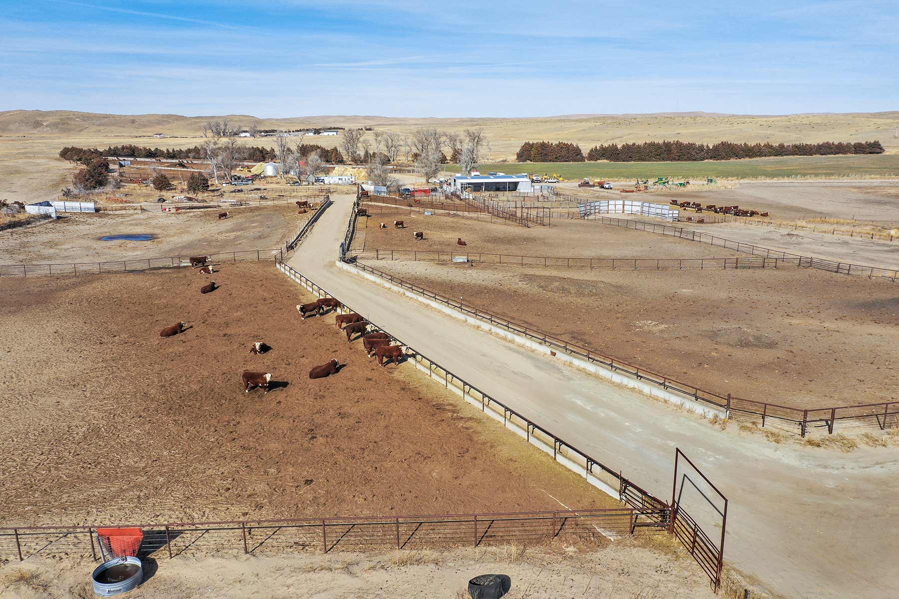 Diversified Sandhills Ranch property picture 7 of 53