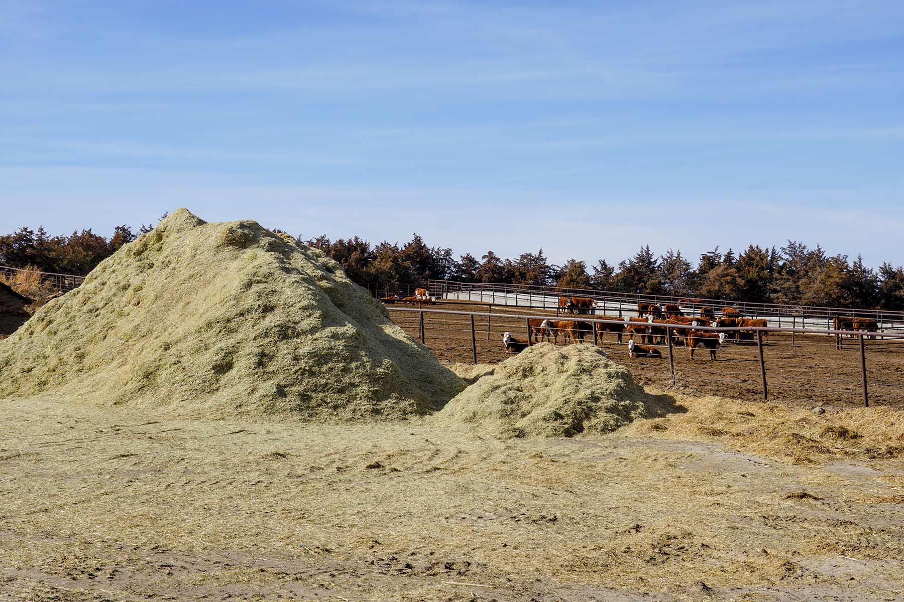 Diversified Sandhills Ranch property picture 14 of 53