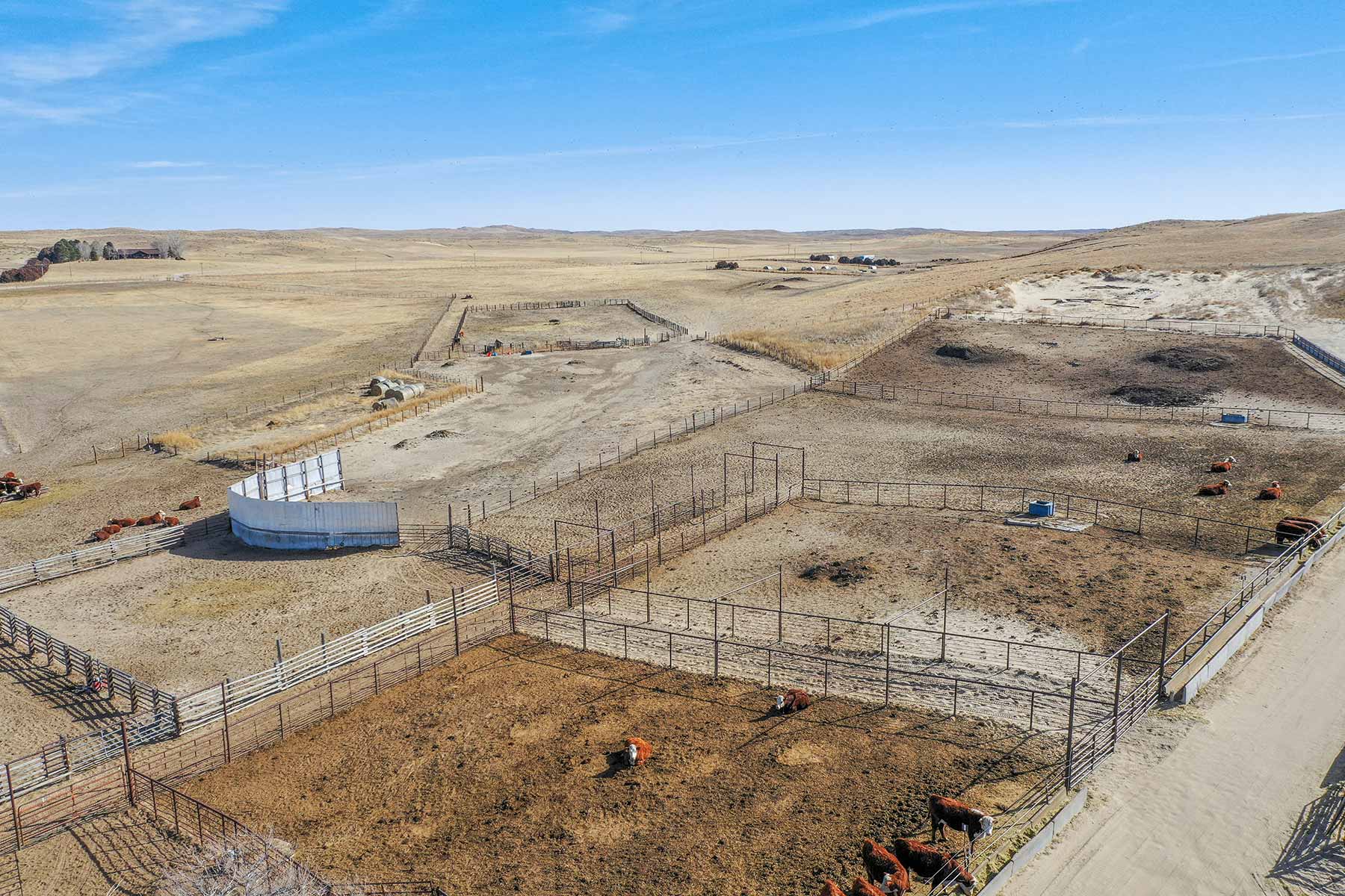 Diversified Sandhills Ranch property picture 20 of 53