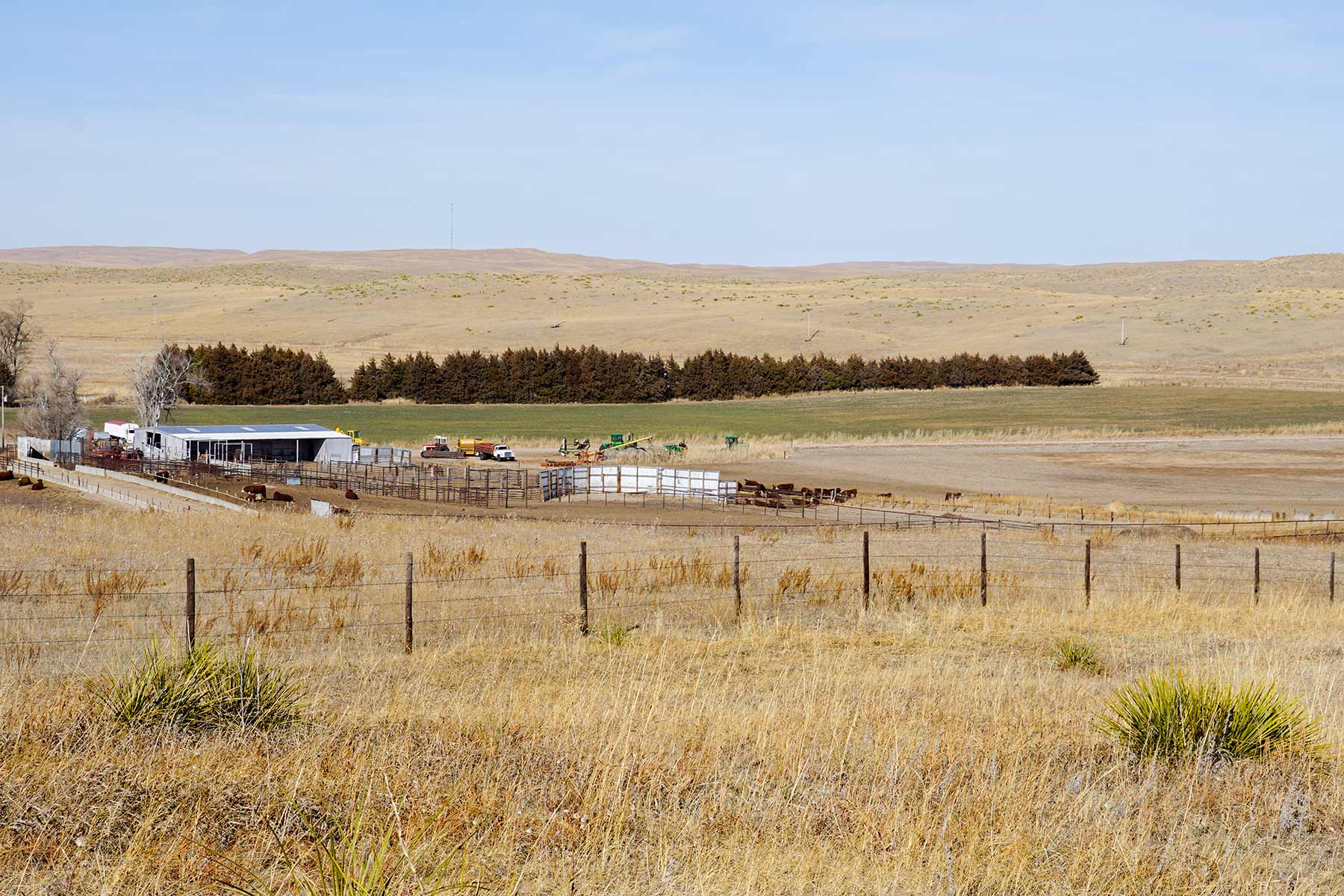 Diversified Sandhills Ranch property picture 48 of 53