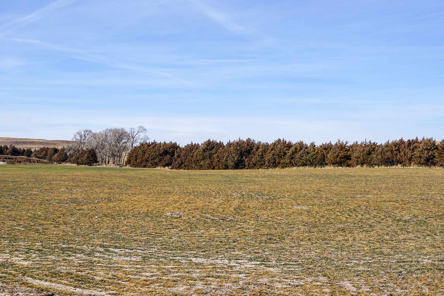 Diversified Sandhills Ranch property picture 34 of 53