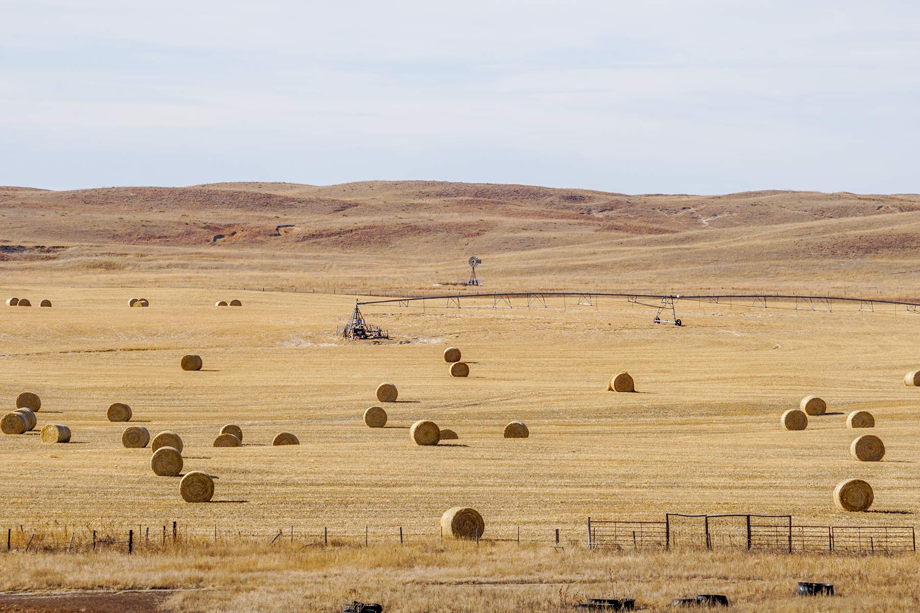 Diversified Sandhills Ranch property picture 43 of 53