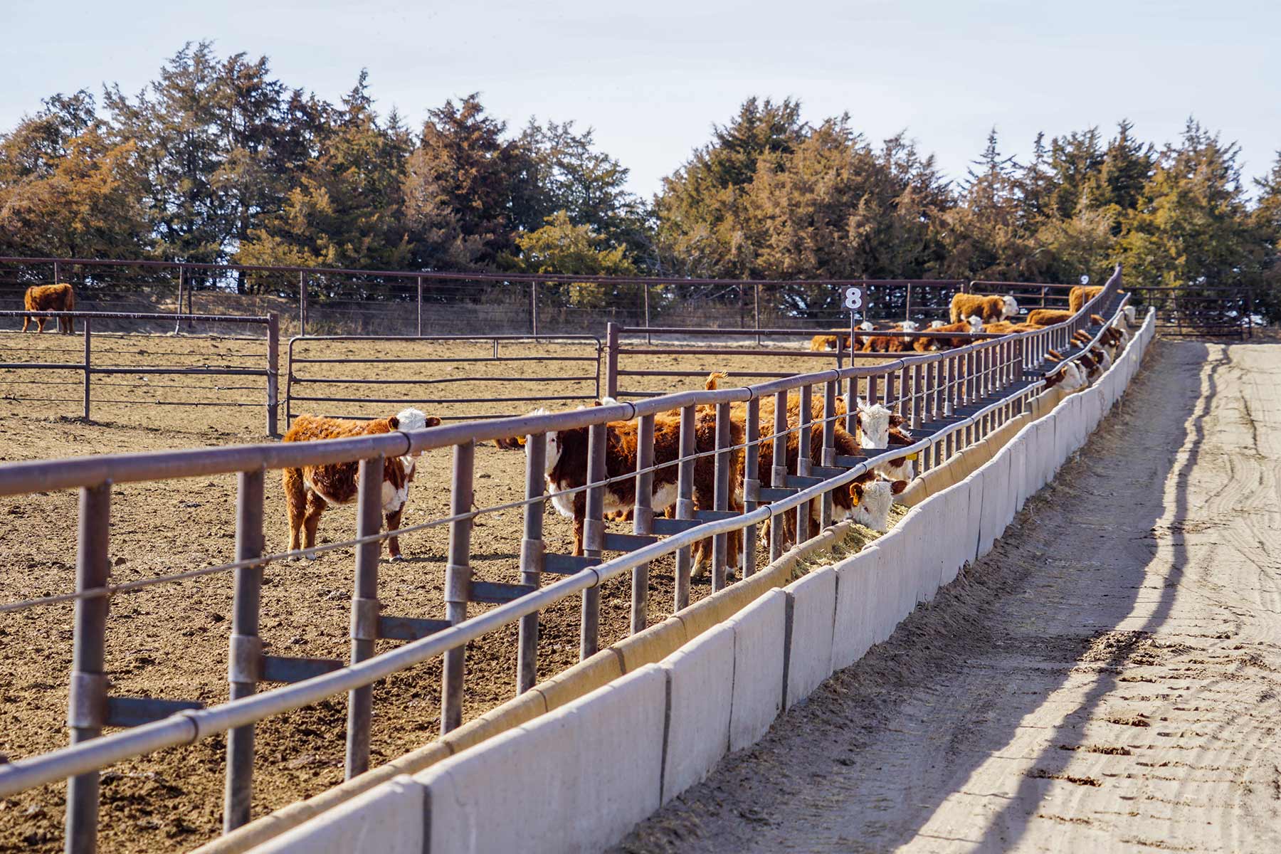 Diversified Sandhills Ranch property picture 33 of 53