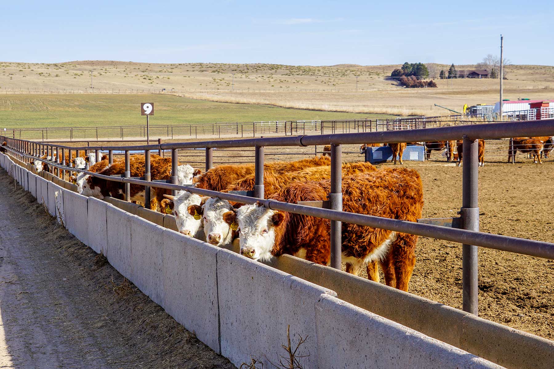 Diversified Sandhills Ranch property picture 4 of 53