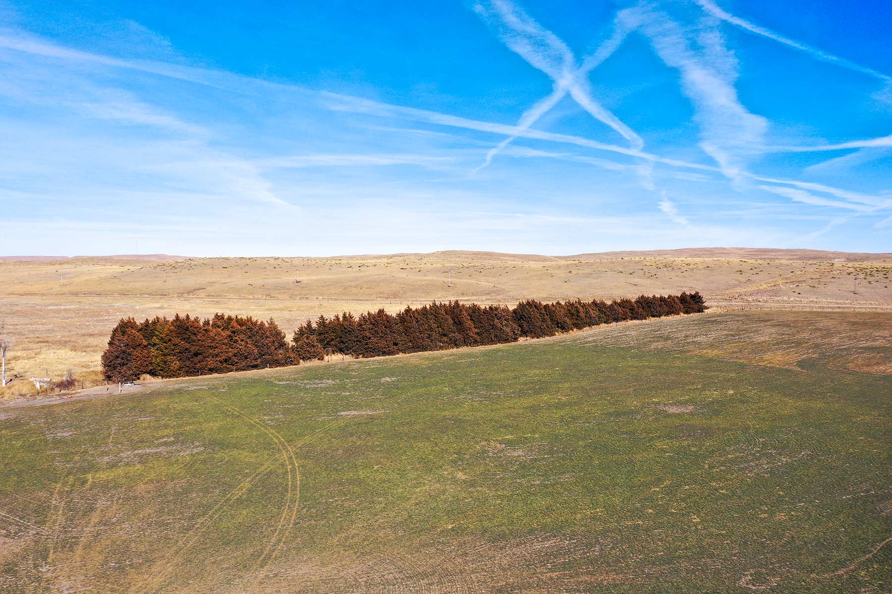 Diversified Sandhills Ranch property picture 25 of 53