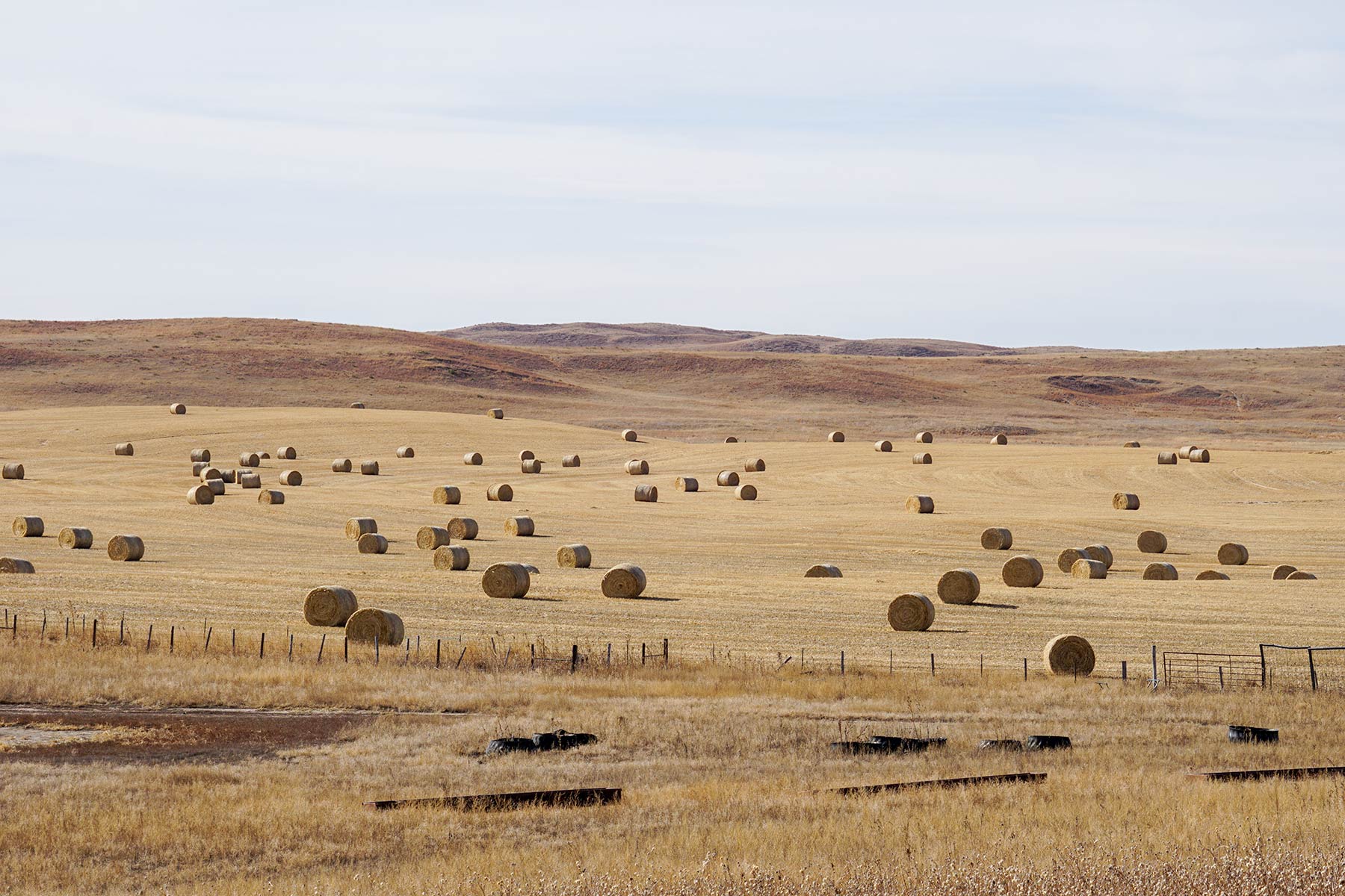 Diversified Sandhills Ranch property picture 15 of 53