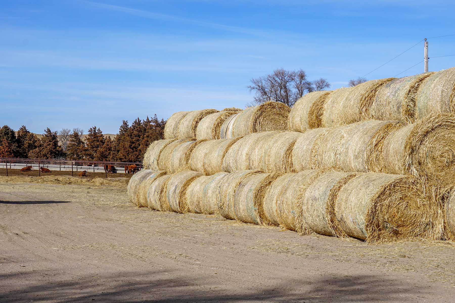 Diversified Sandhills Ranch property picture 36 of 53