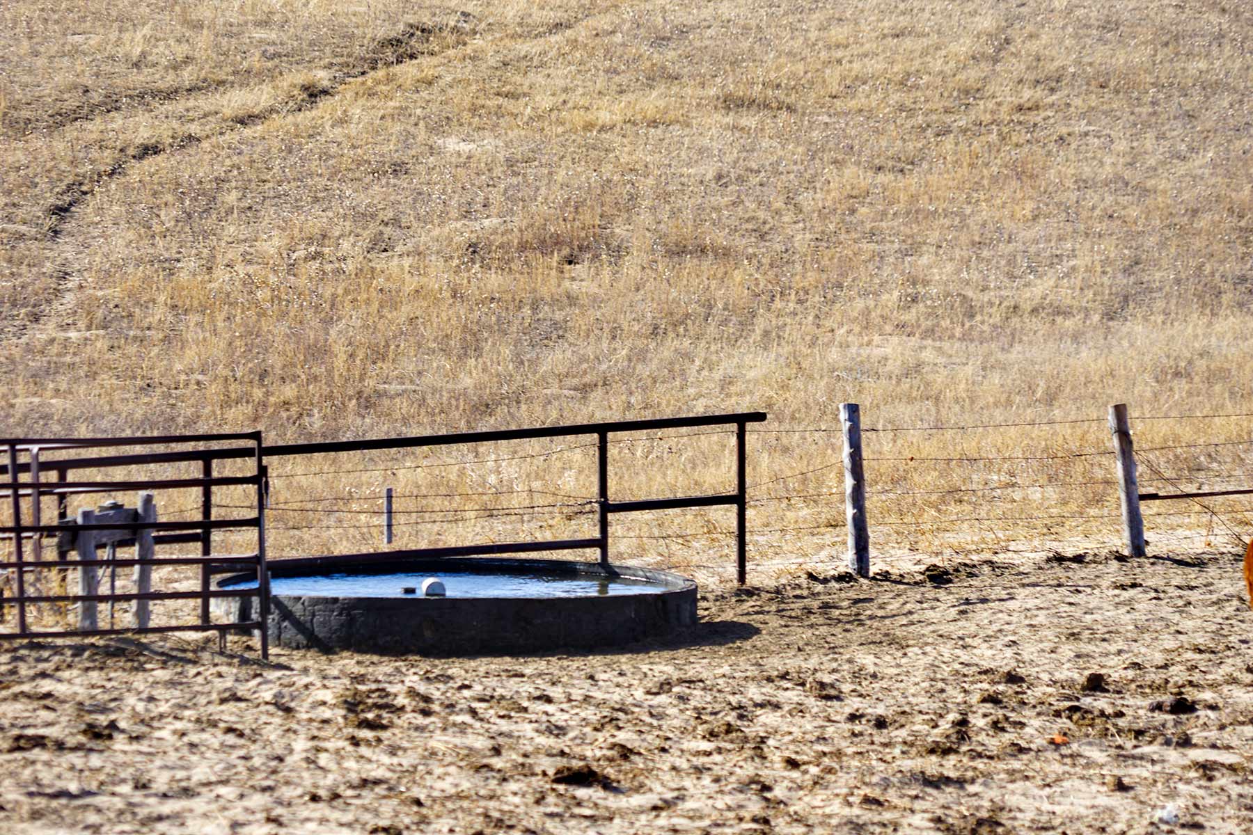 Diversified Sandhills Ranch property picture 40 of 53