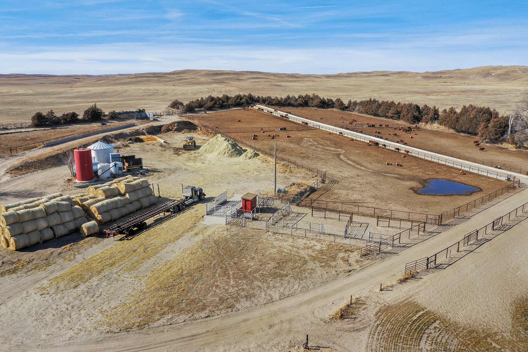 Diversified Sandhills Ranch property picture 26 of 53