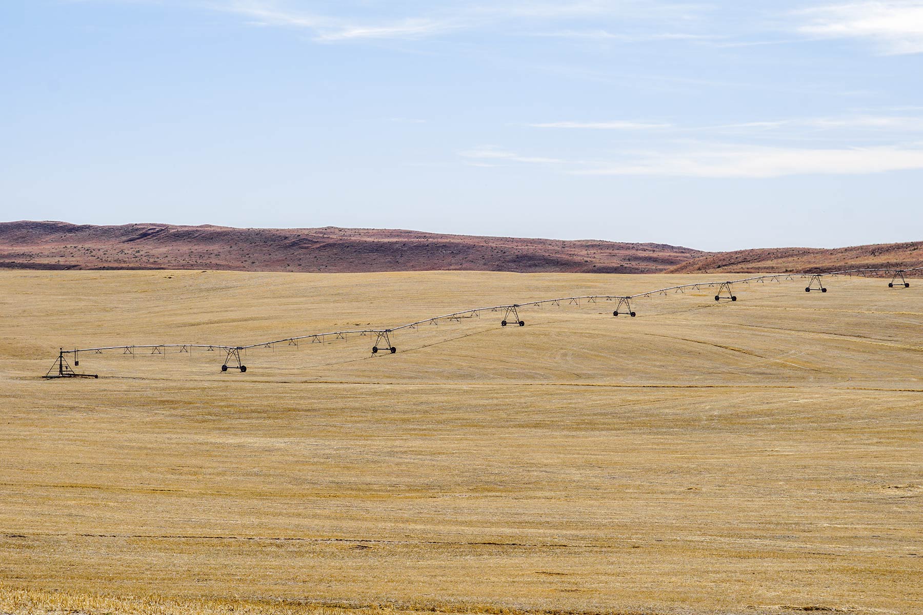 Diversified Sandhills Ranch property picture 41 of 53