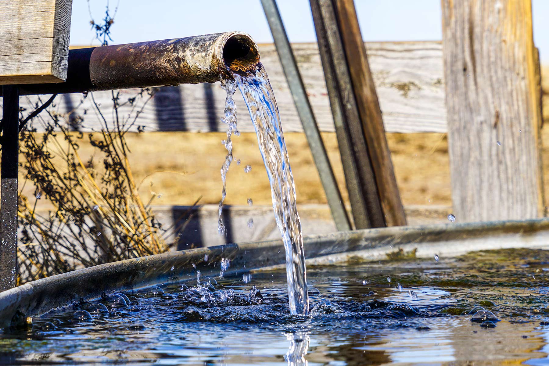 Diversified Sandhills Ranch property picture 6 of 53