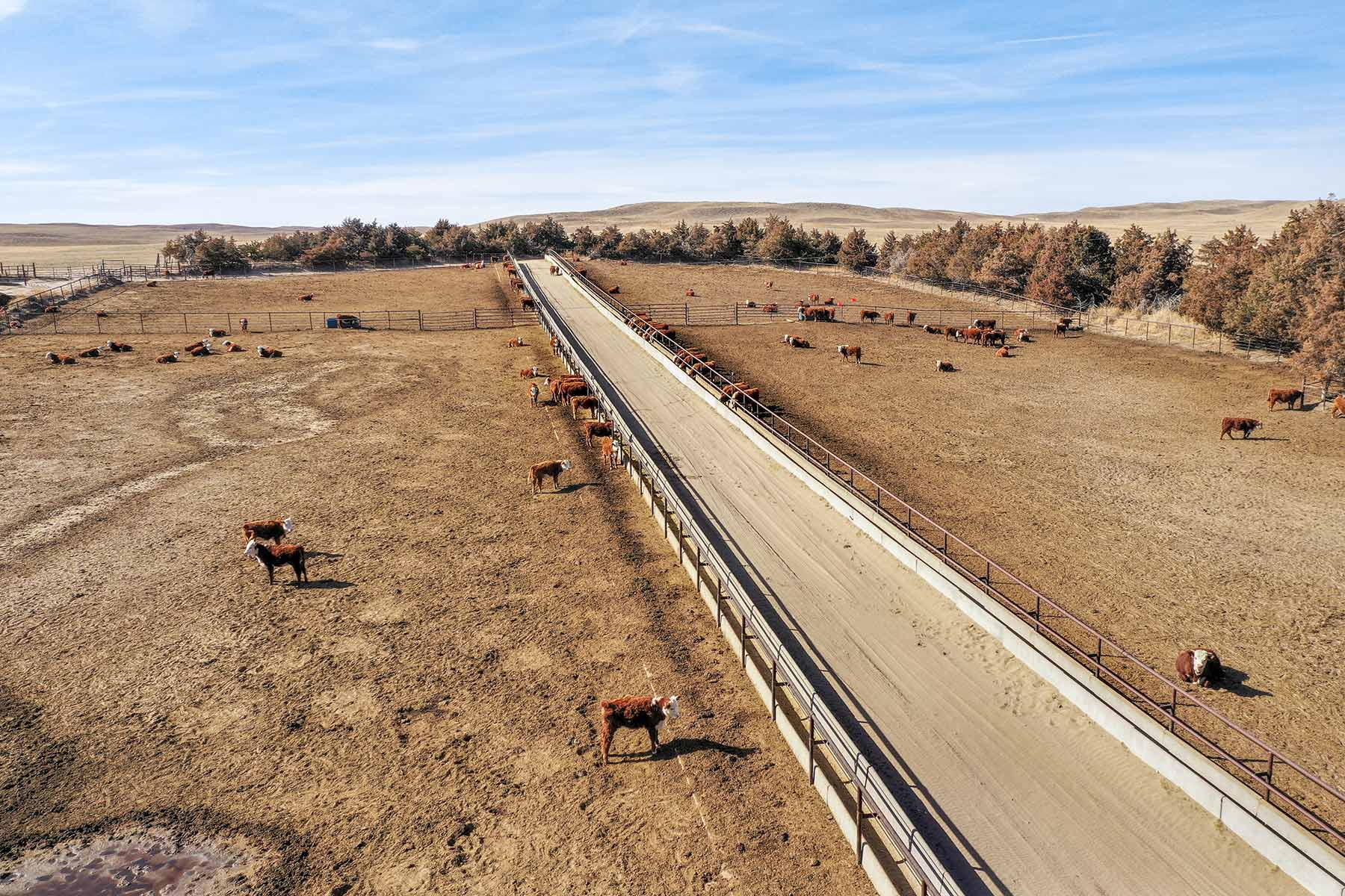 Diversified Sandhills Ranch property picture 18 of 53