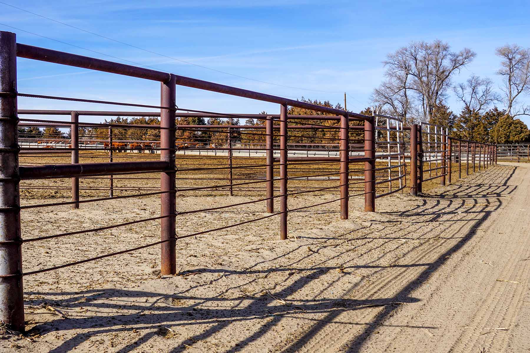 Diversified Sandhills Ranch property picture 39 of 53