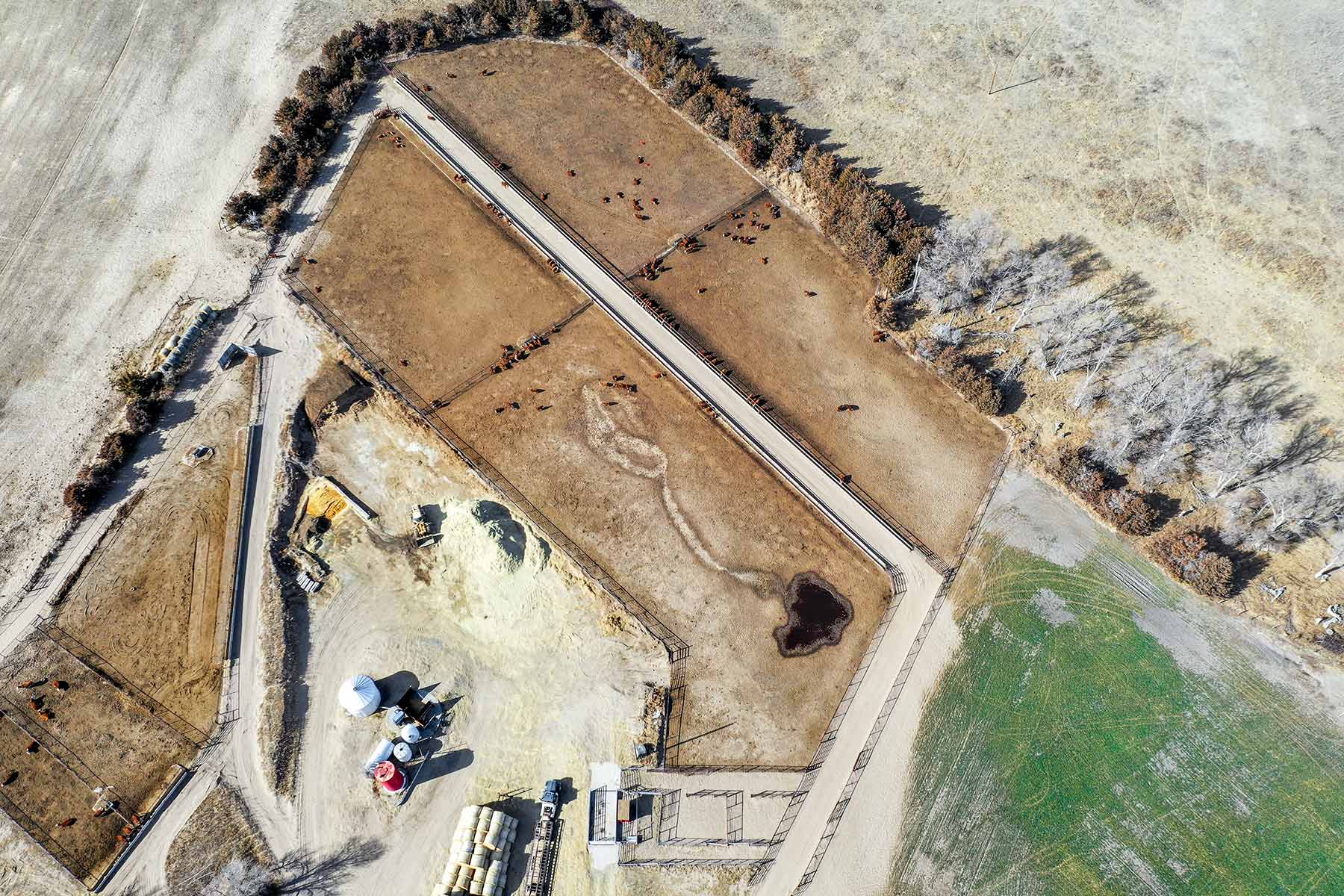 Diversified Sandhills Ranch property picture 21 of 53