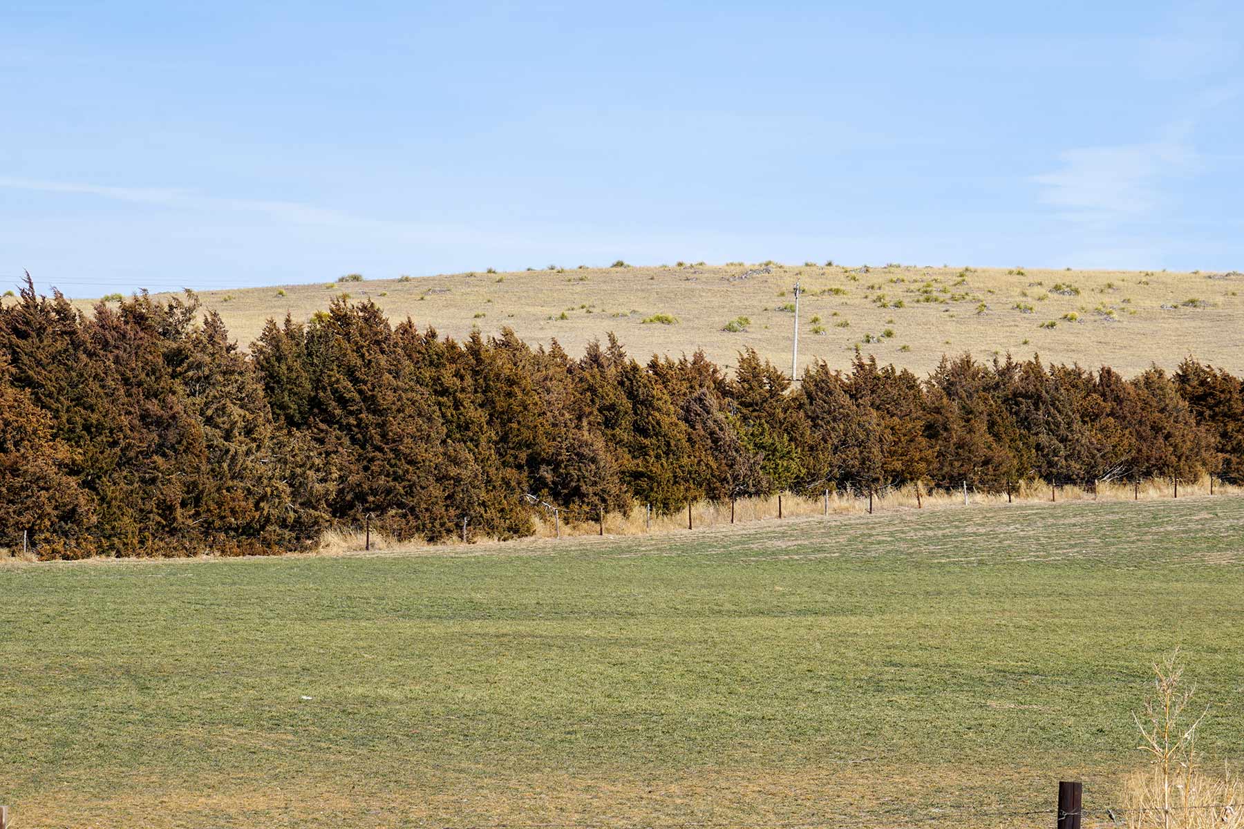 Diversified Sandhills Ranch property picture 35 of 53